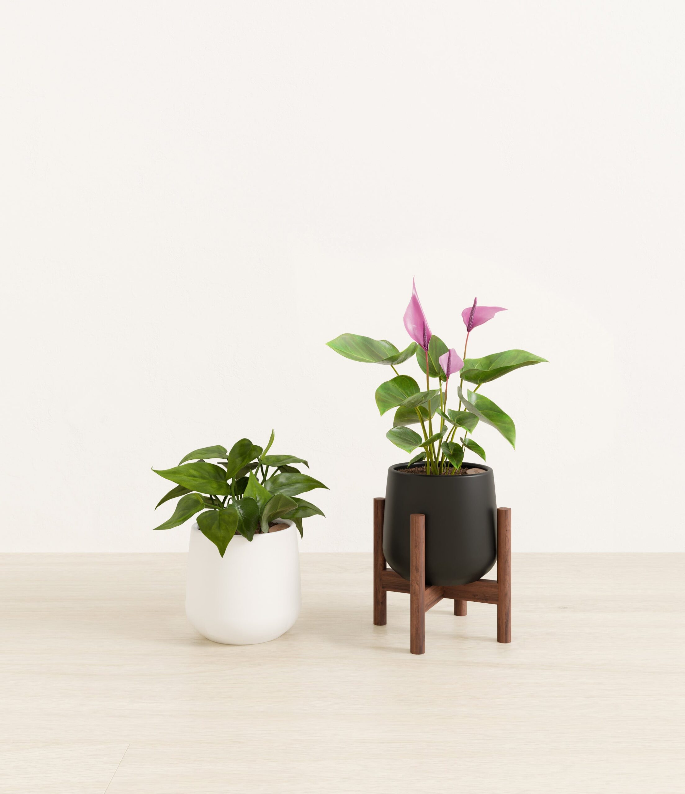 Mothers_Day_Duo_studio_orca_palette_1_stands.jpg