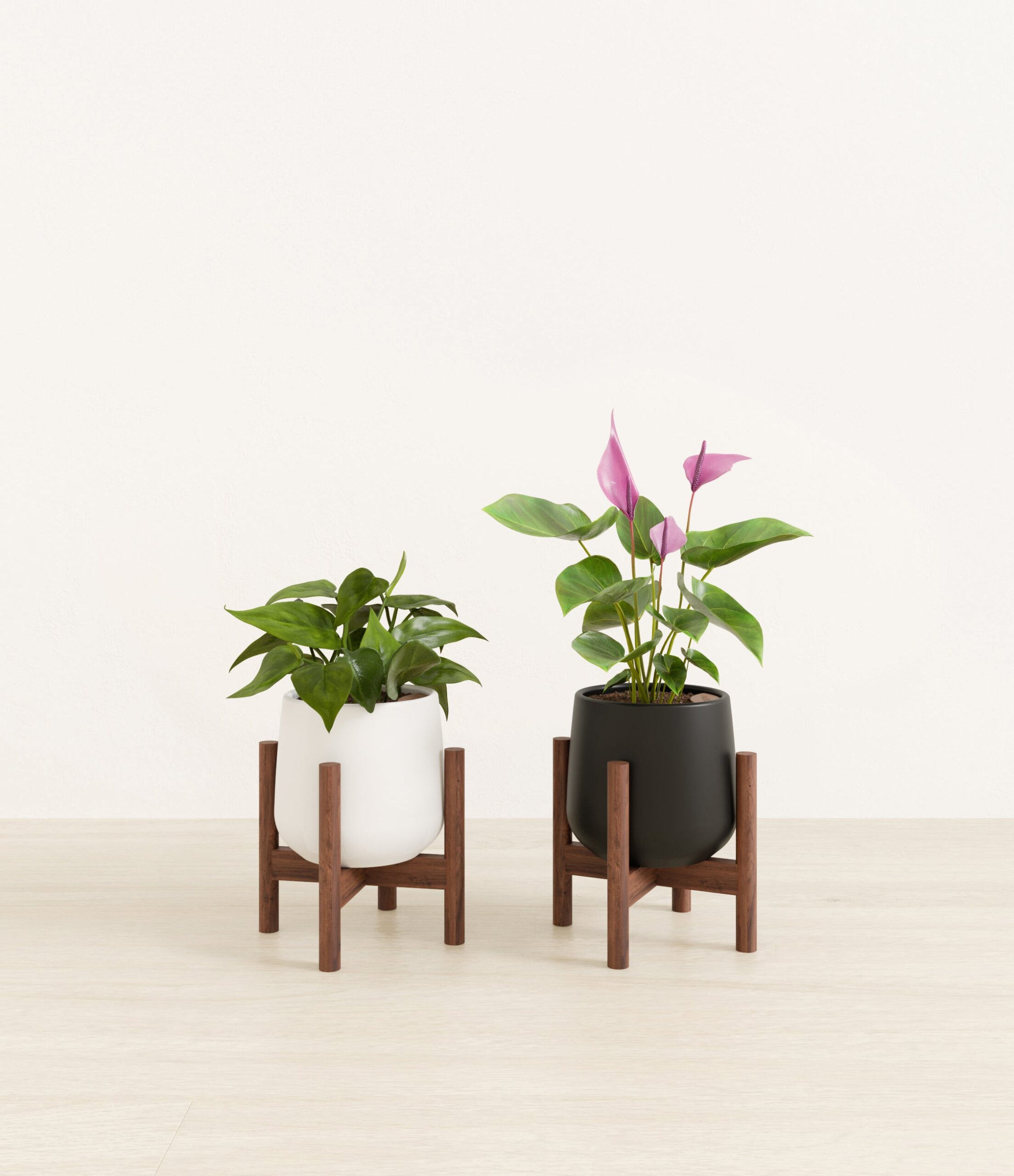Mothers_Day_Duo_studio_orca_palette_2_stands.jpg