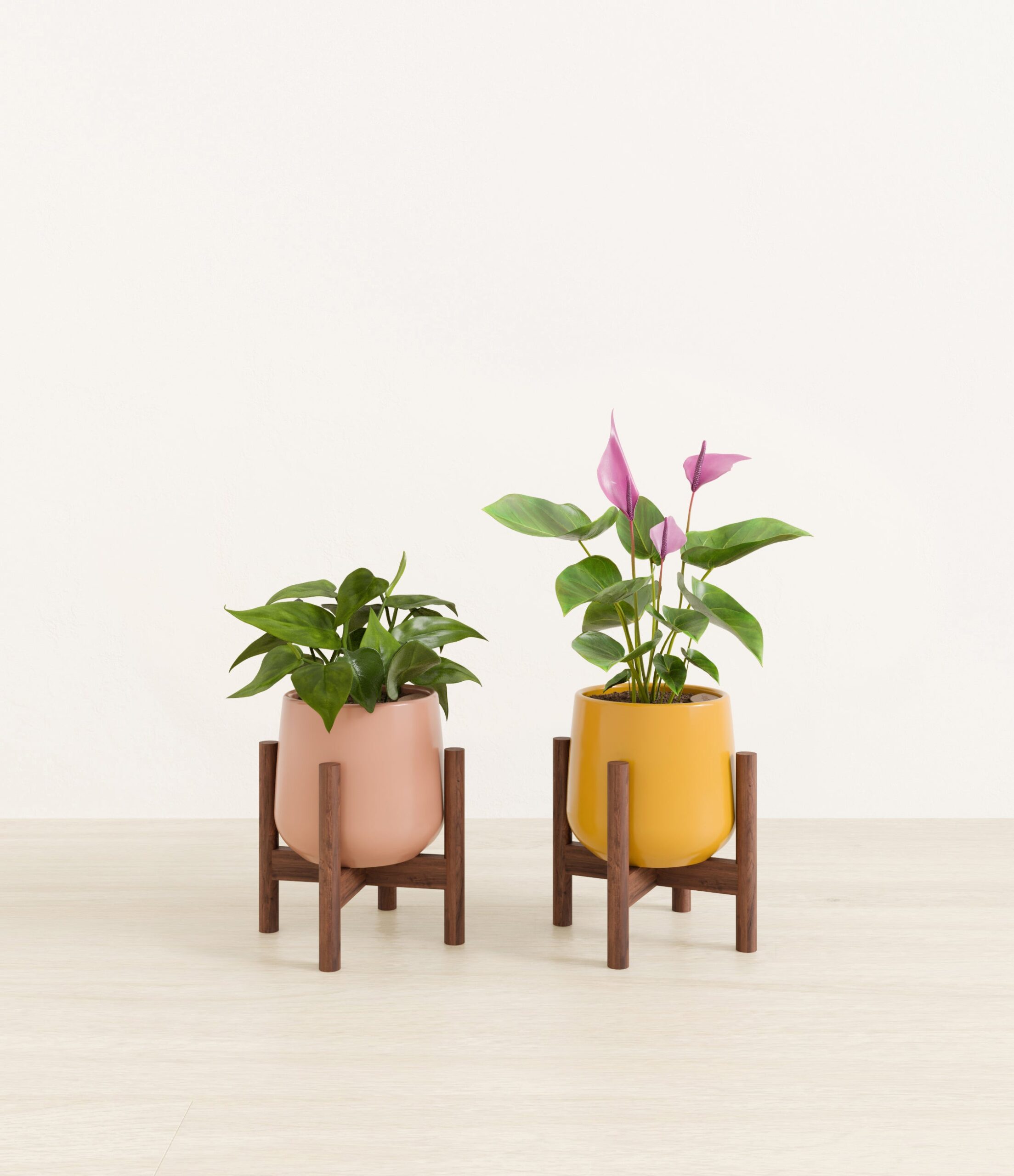 Mothers_Day_Duo_studio_sunset_palette_2_stands.jpg