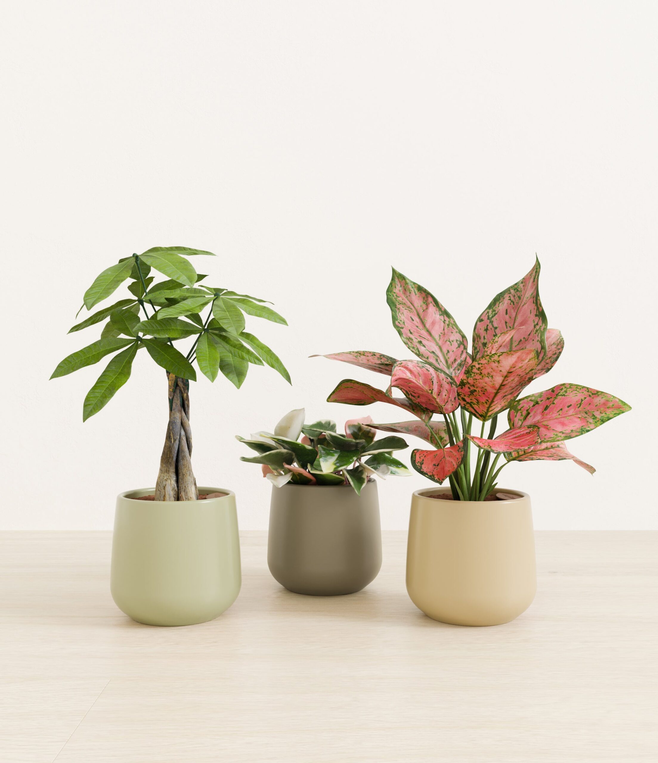 Mothers_Day_Trio_US_studio_earthy_palette_0_stands.jpg