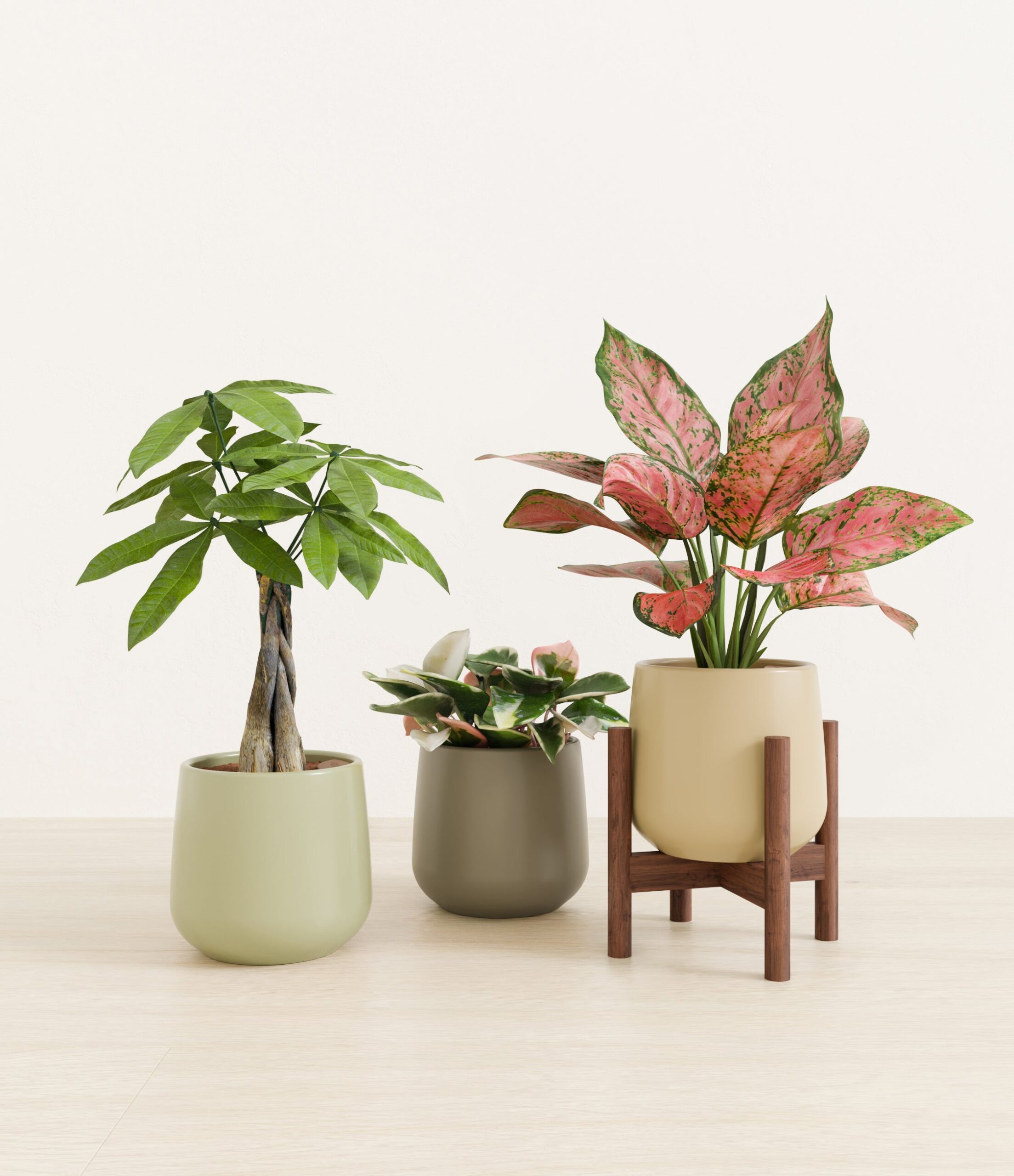 Mothers_Day_Trio_US_studio_earthy_palette_1_stands.jpg