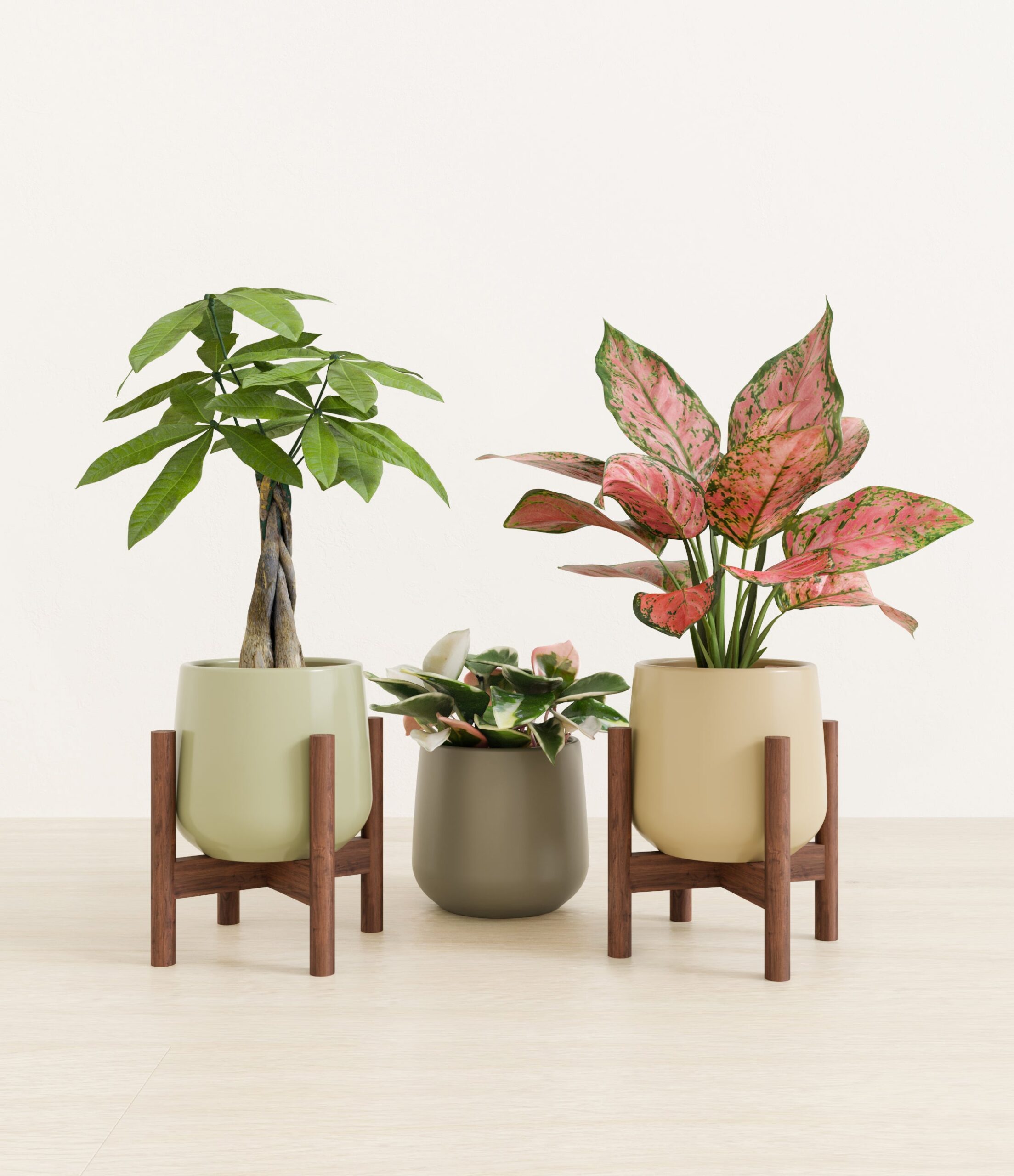 Mothers_Day_Trio_US_studio_earthy_palette_2_stands.jpg