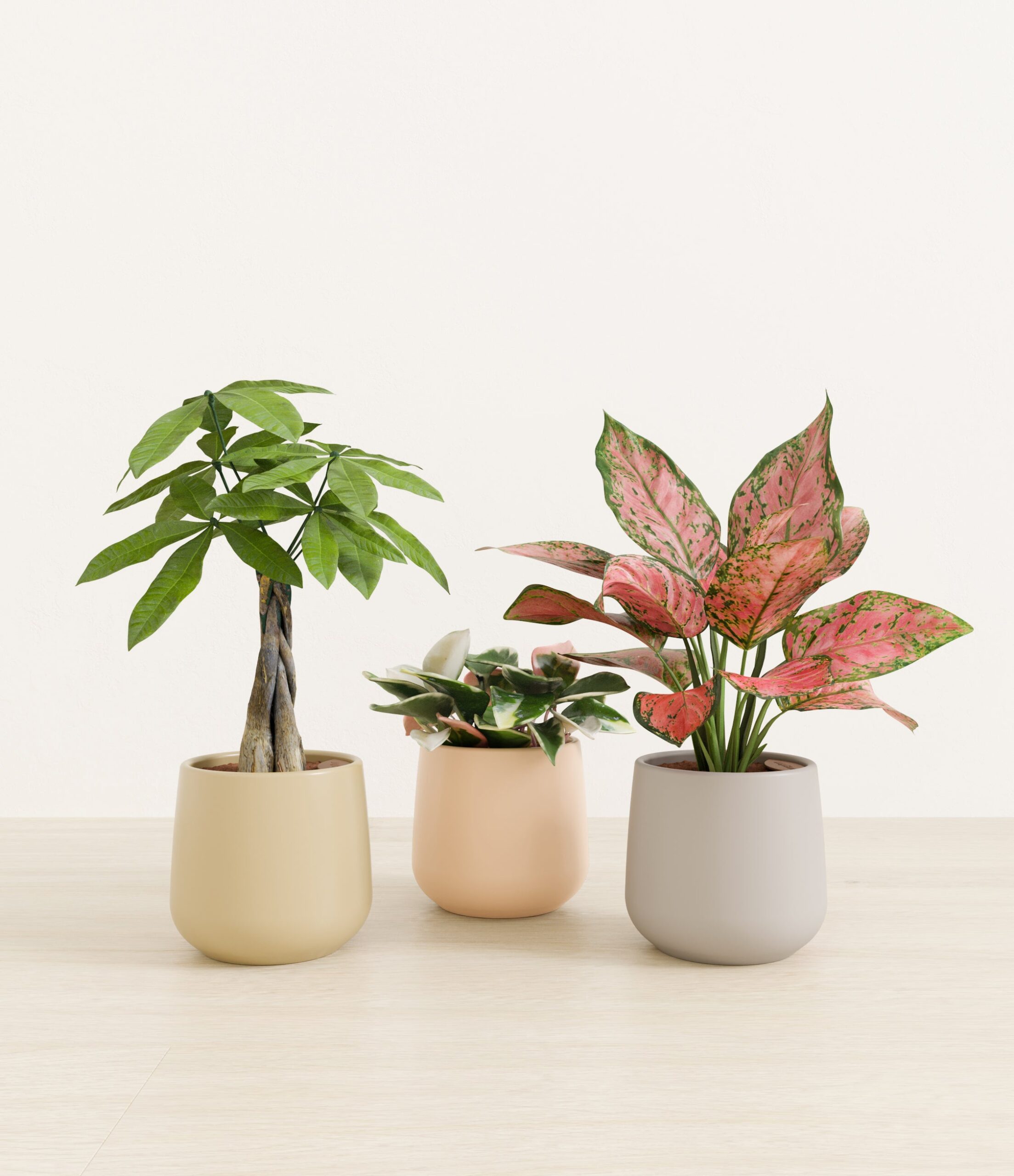 Mothers_Day_Trio_US_studio_sandy_palette_0_stands.jpg