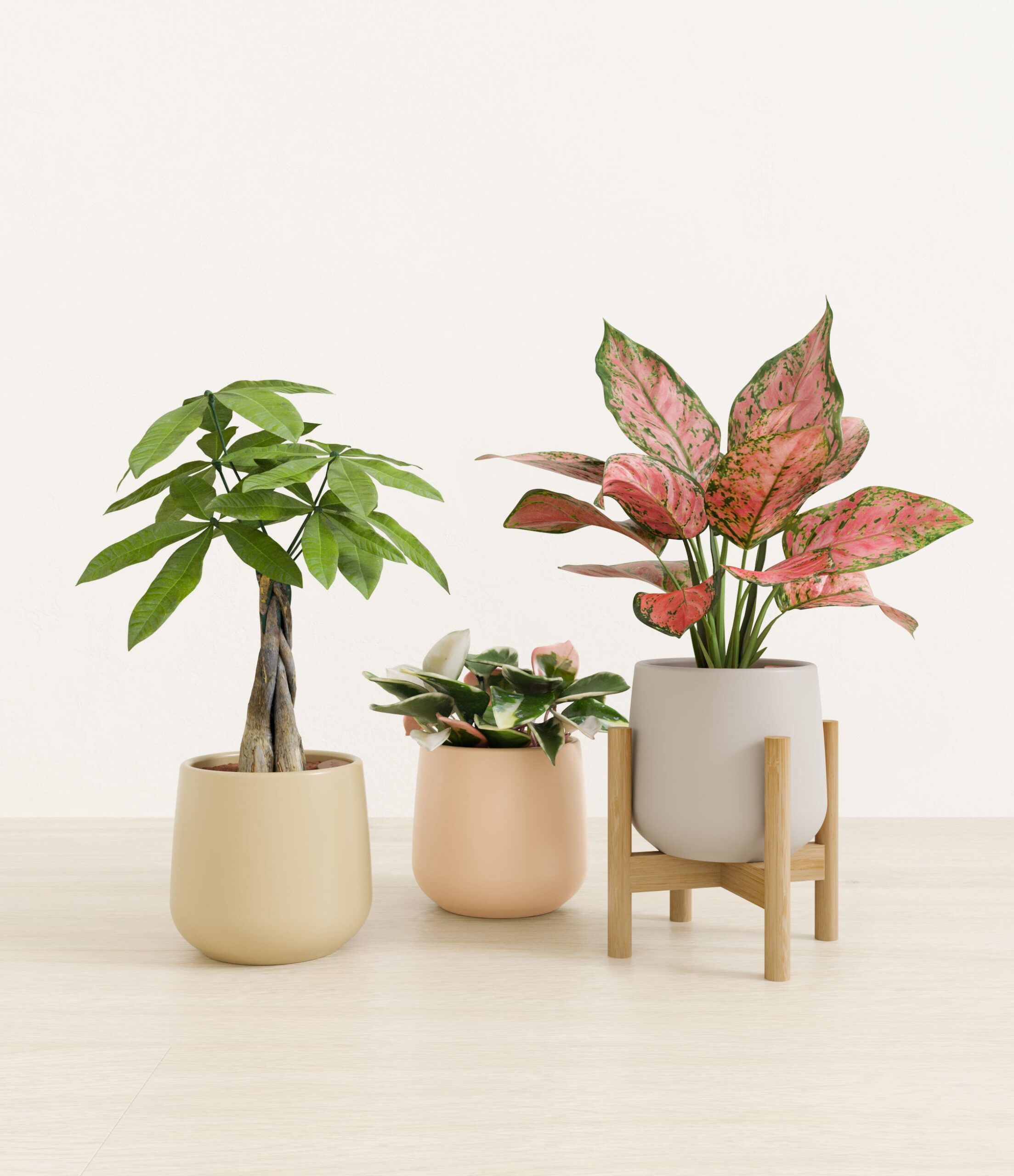 Mothers_Day_Trio_US_studio_sandy_palette_1_stands.jpg