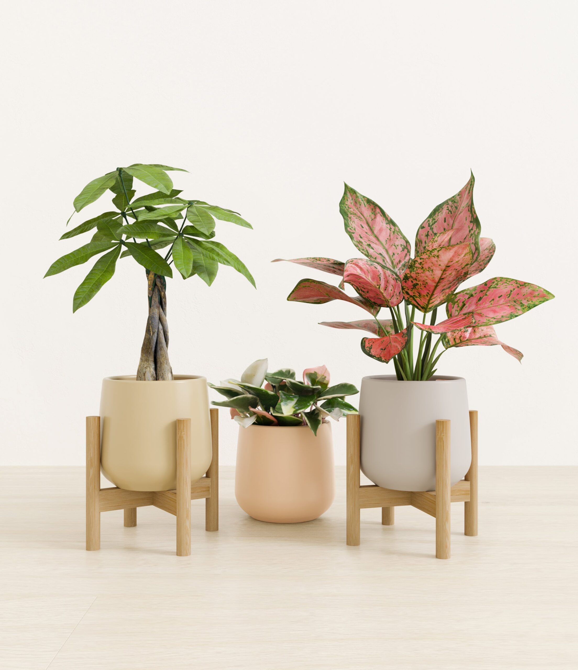 Mothers_Day_Trio_US_studio_sandy_palette_2_stands.jpg