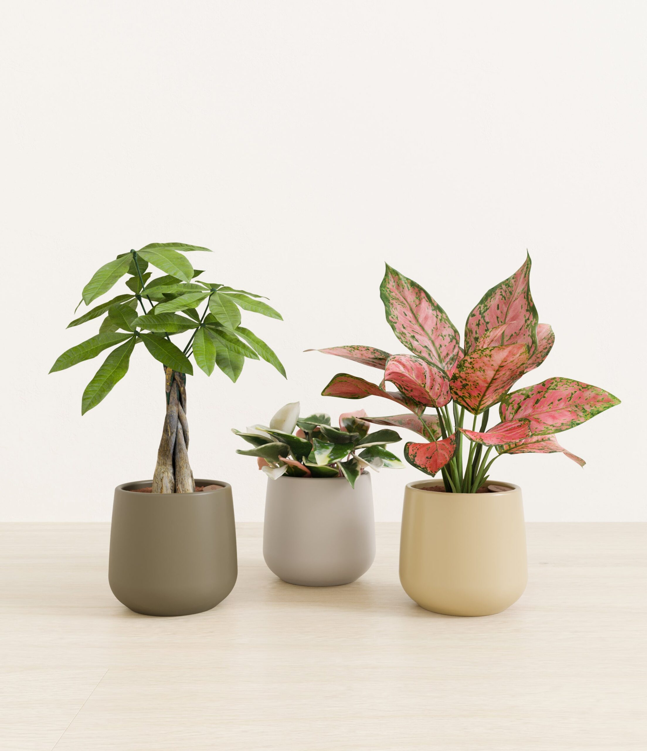 Mothers_Day_Trio_US_studio_woodland_palette_0_stands.jpg