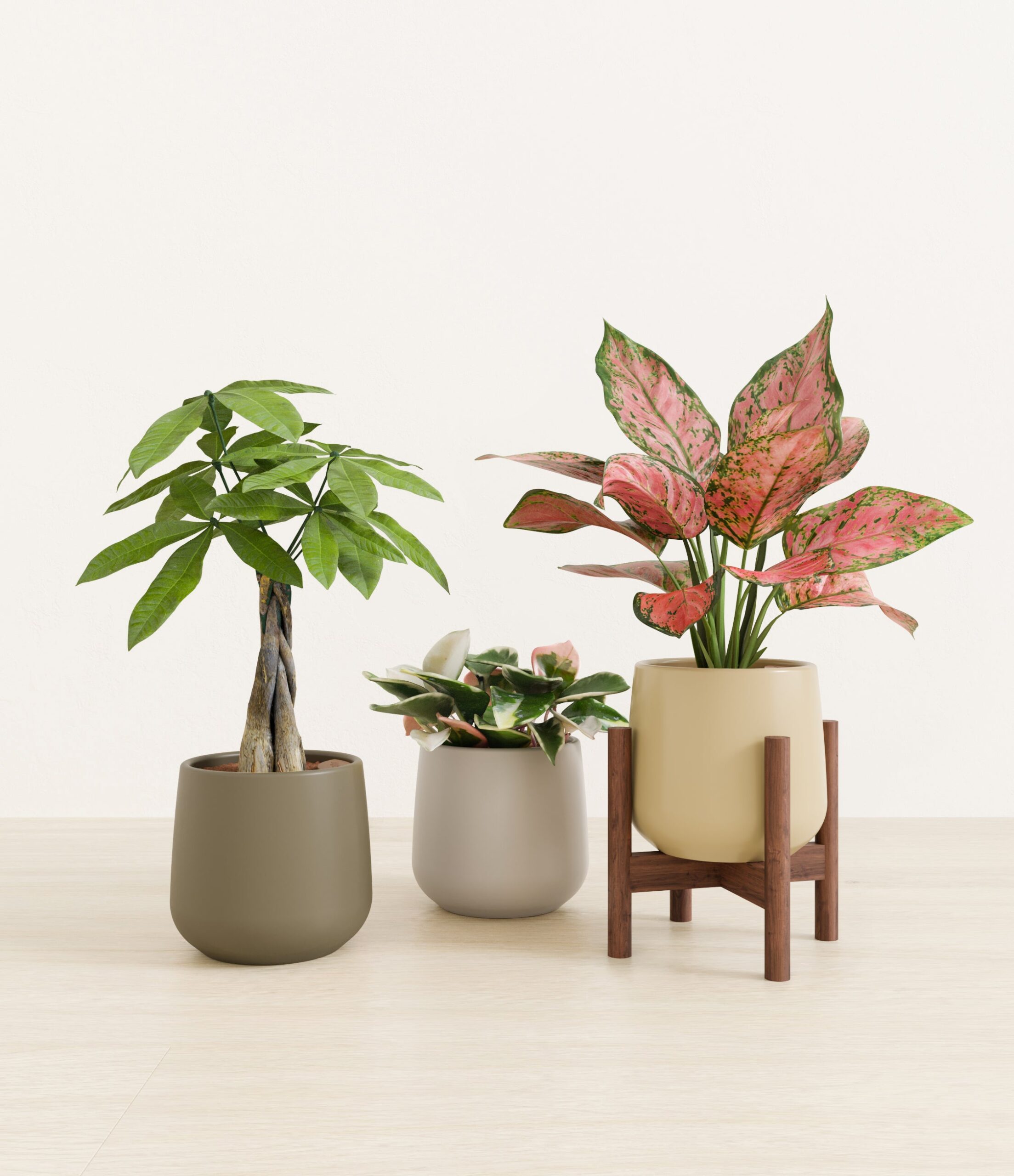 Mothers_Day_Trio_US_studio_woodland_palette_1_stands.jpg