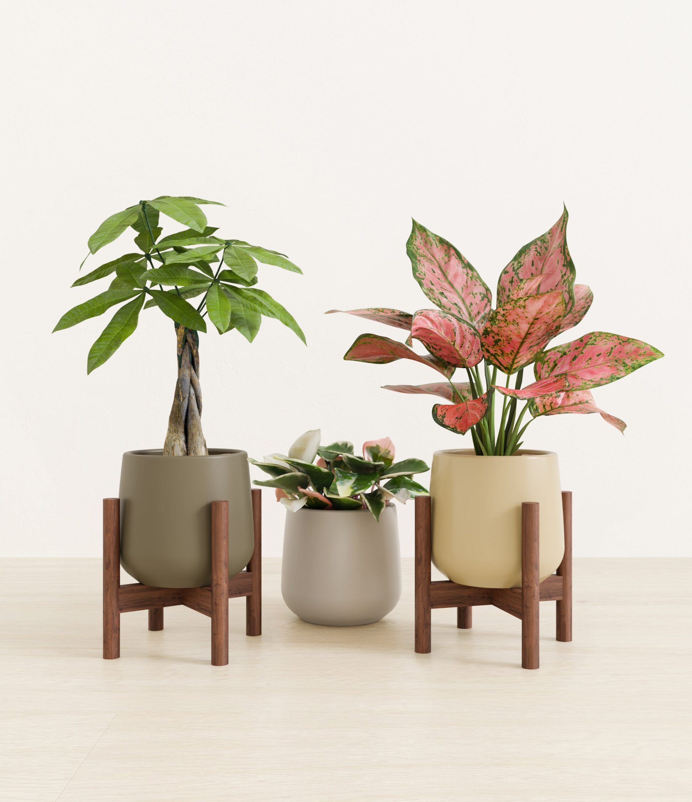 Mothers_Day_Trio_US_studio_woodland_palette_2_stands.jpg