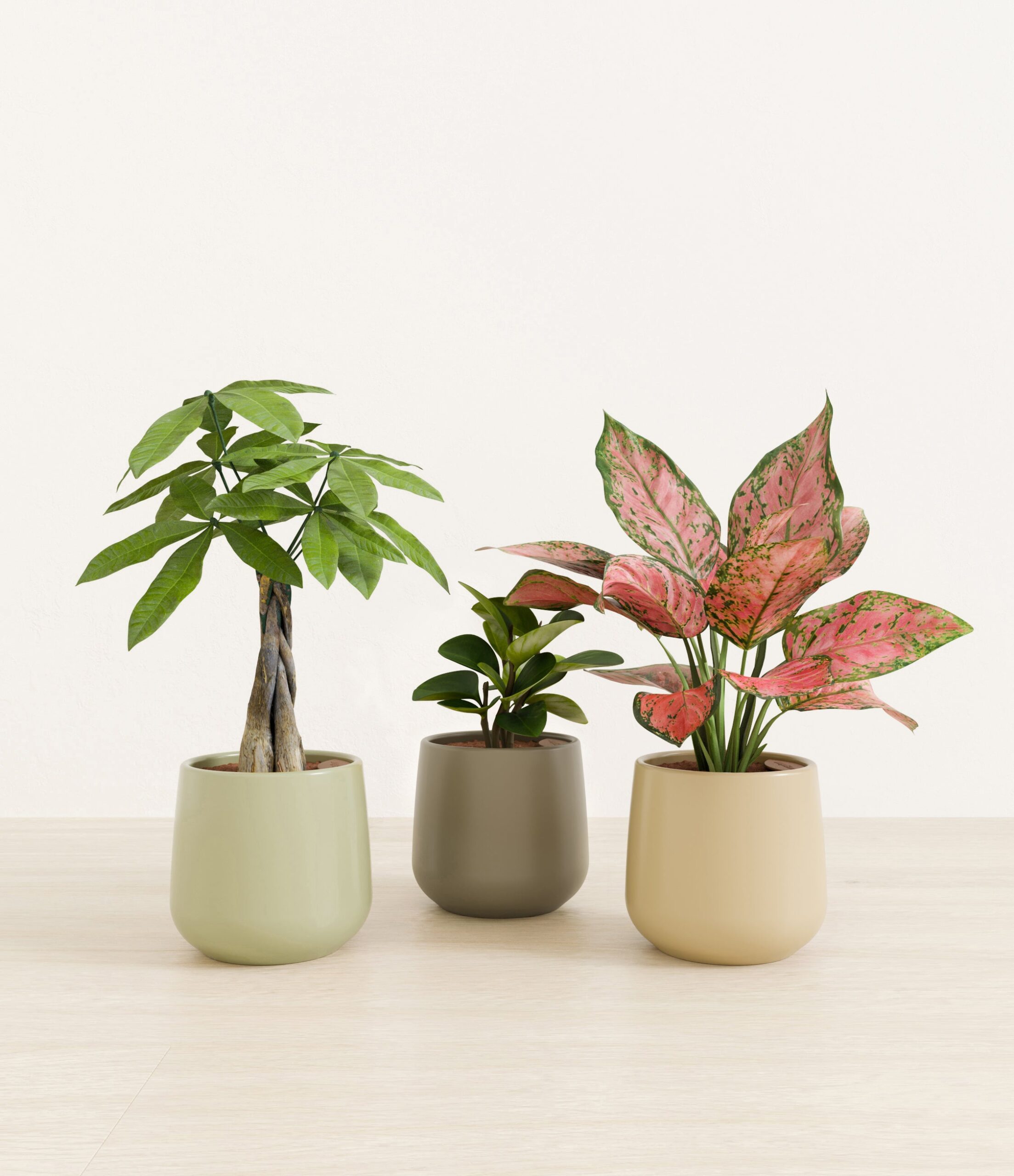 Mothers_Day_Trio_studio_earthy_palette_0_stands.jpg