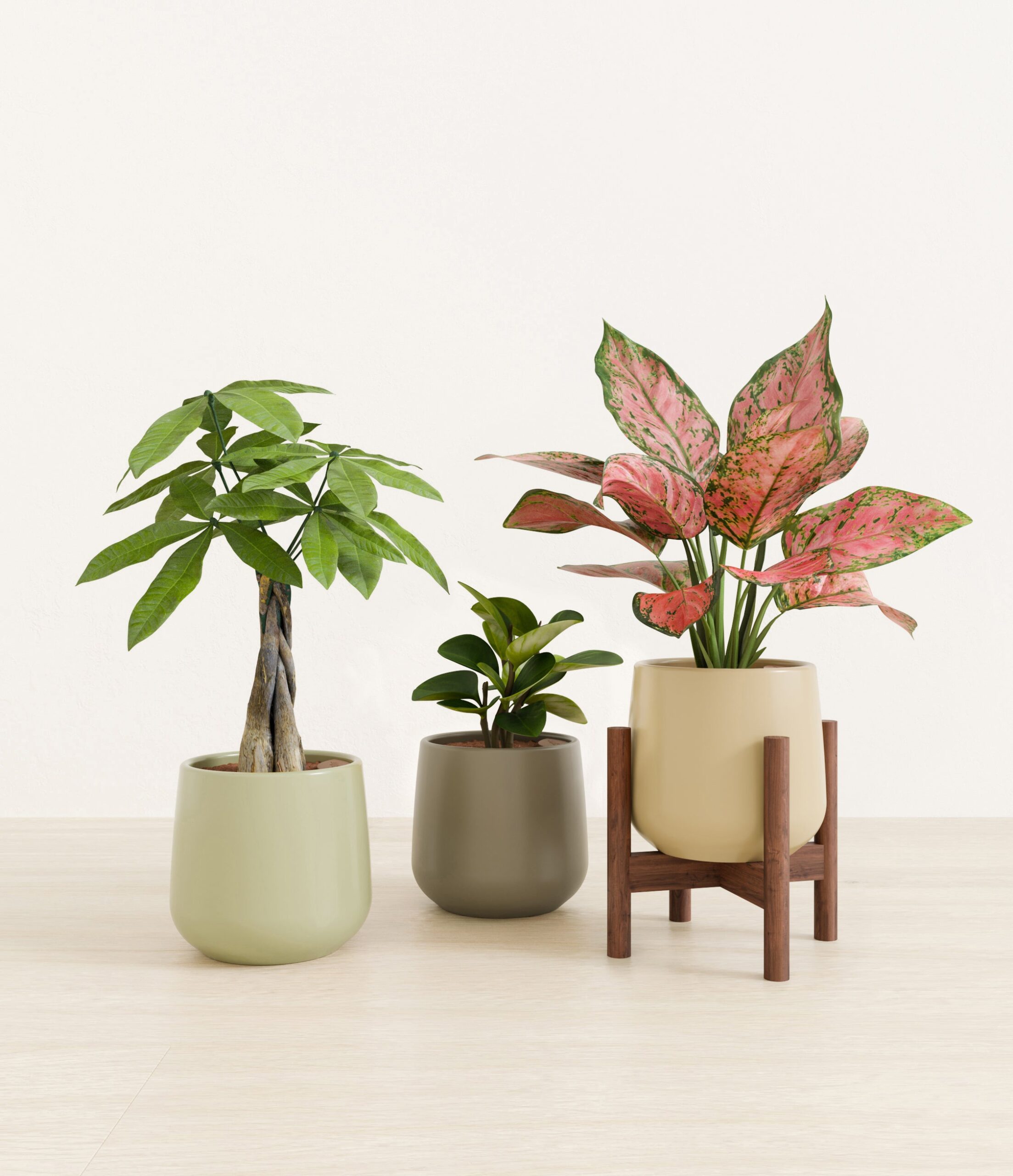 Mothers_Day_Trio_studio_earthy_palette_1_stands.jpg