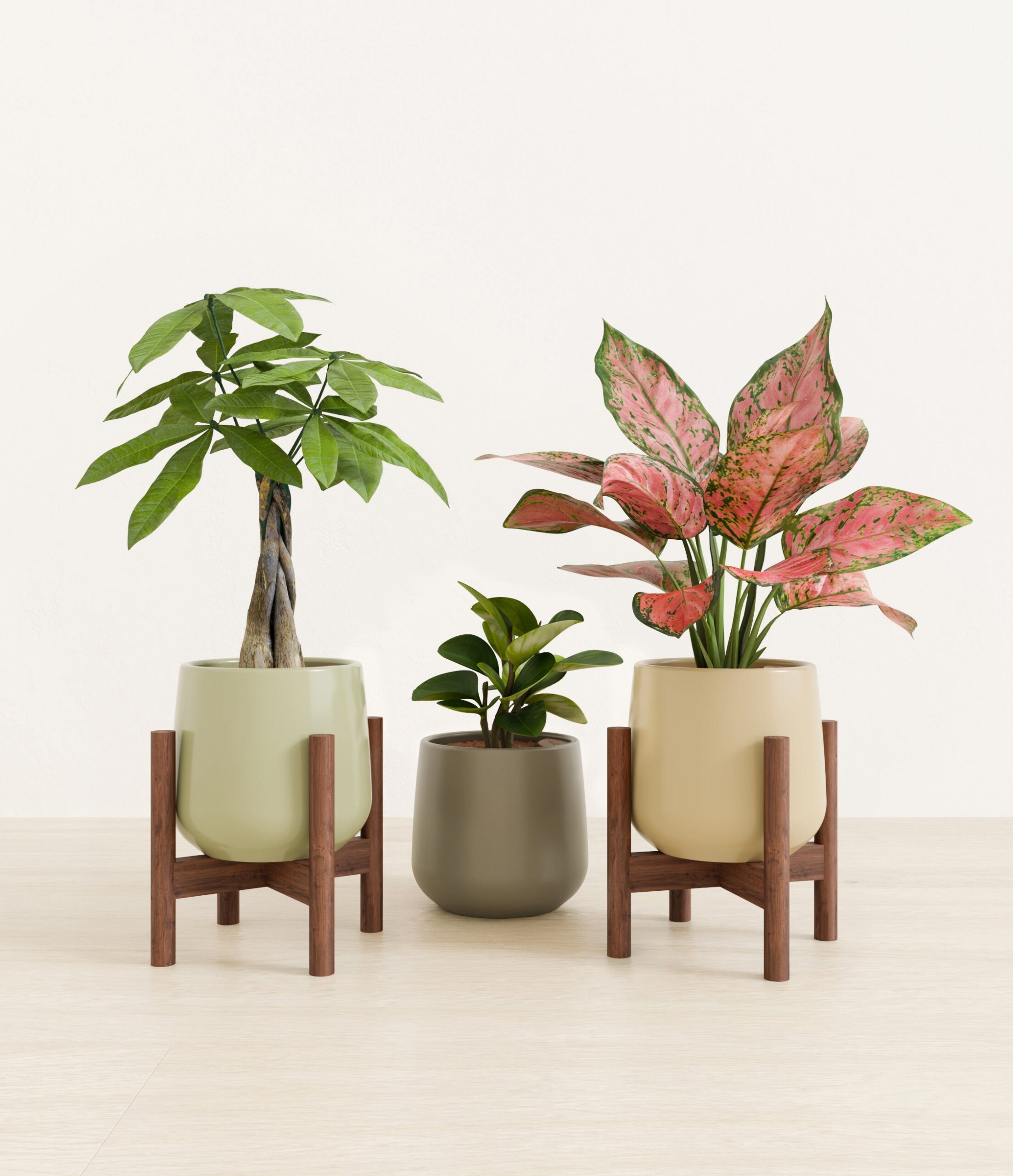 Mothers_Day_Trio_studio_earthy_palette_2_stands.jpg