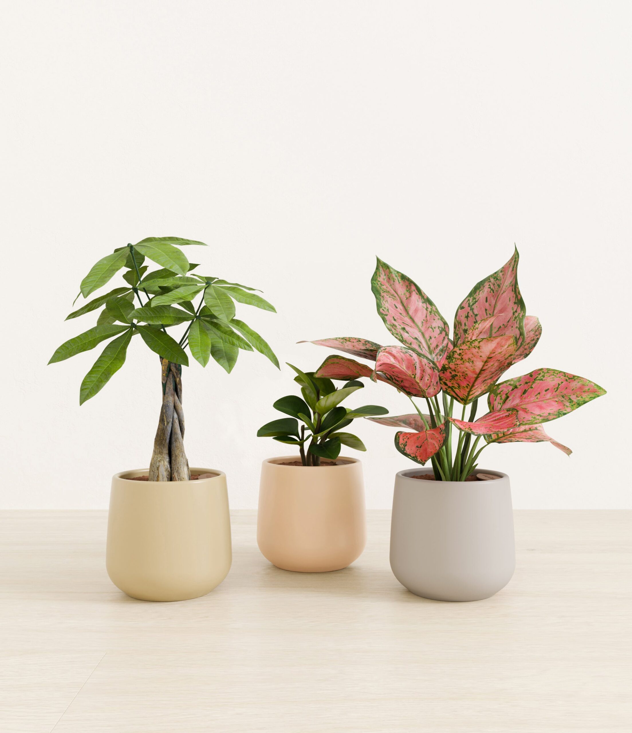 Mothers_Day_Trio_studio_sandy_palette_0_stands.jpg