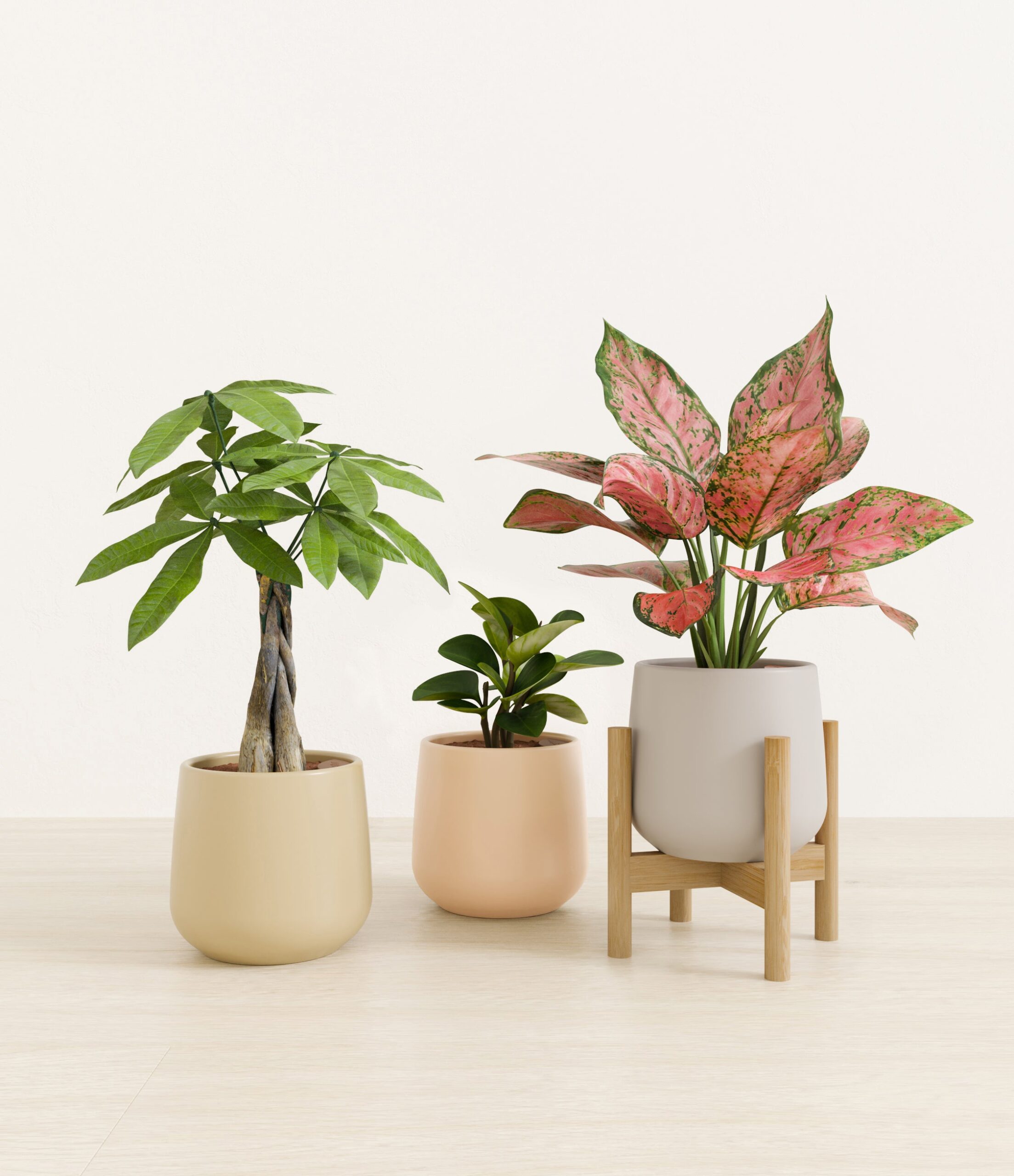 Mothers_Day_Trio_studio_sandy_palette_1_stands.jpg