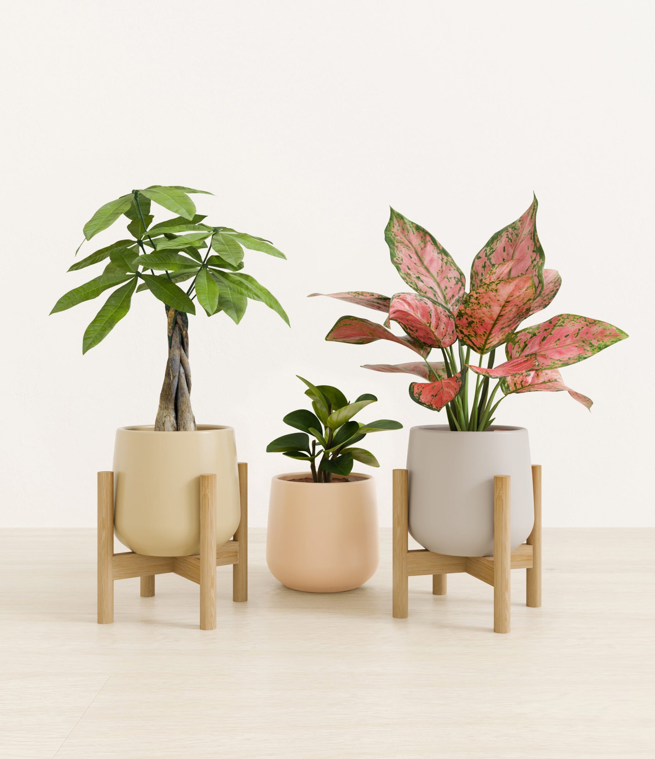 Mothers_Day_Trio_studio_sandy_palette_2_stands.jpg