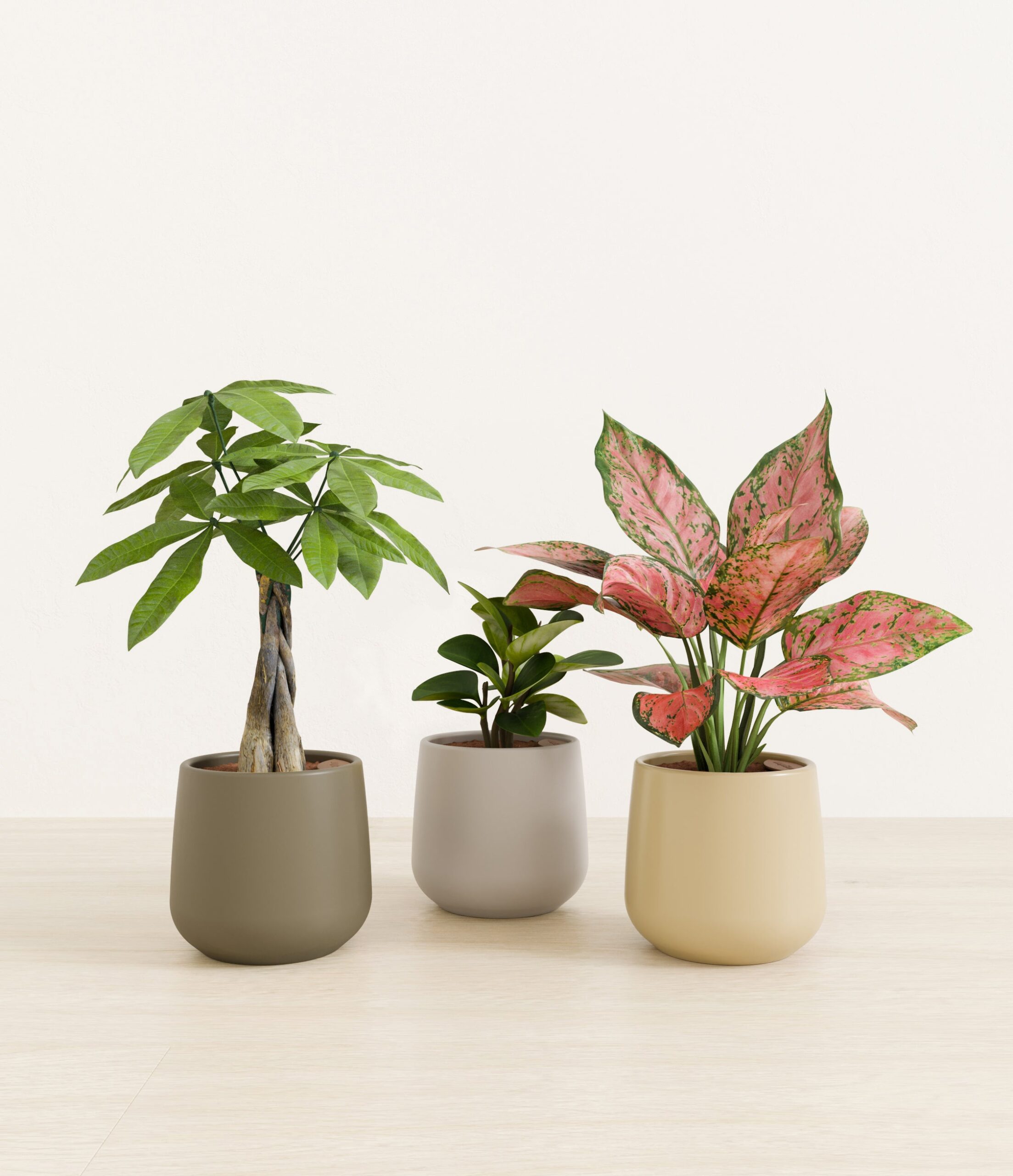 Mothers_Day_Trio_studio_woodland_palette_0_stands.jpg