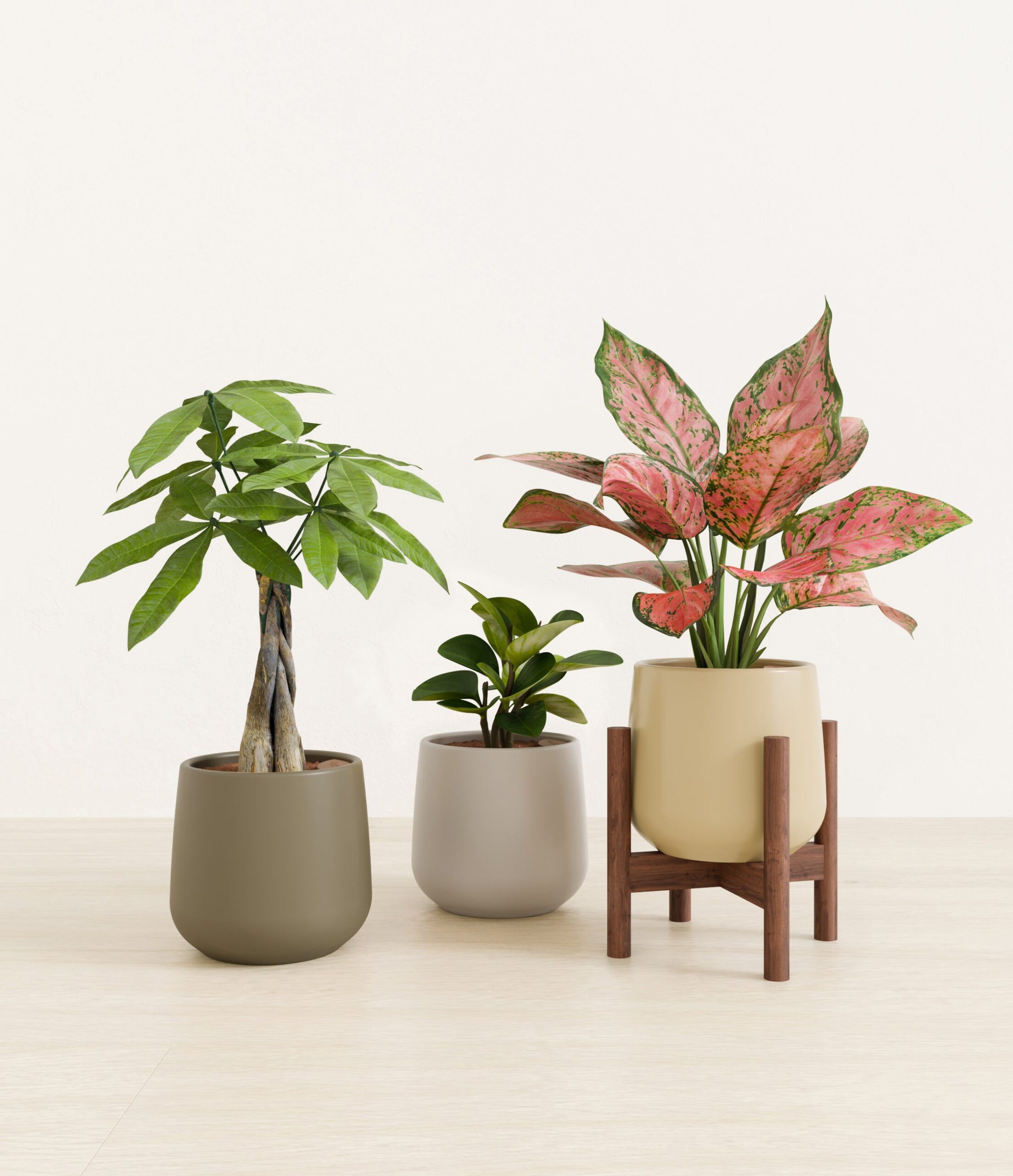 Mothers_Day_Trio_studio_woodland_palette_1_stands.jpg