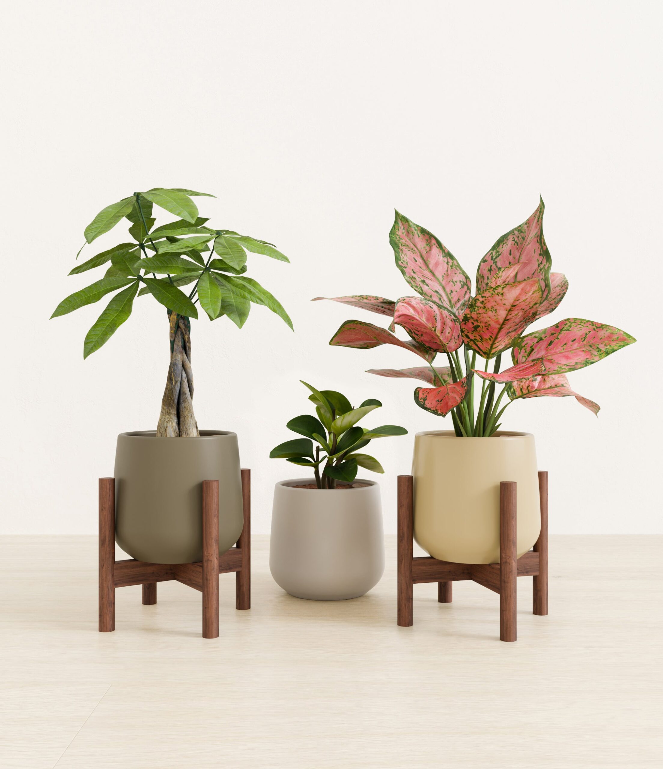 Mothers_Day_Trio_studio_woodland_palette_2_stands.jpg