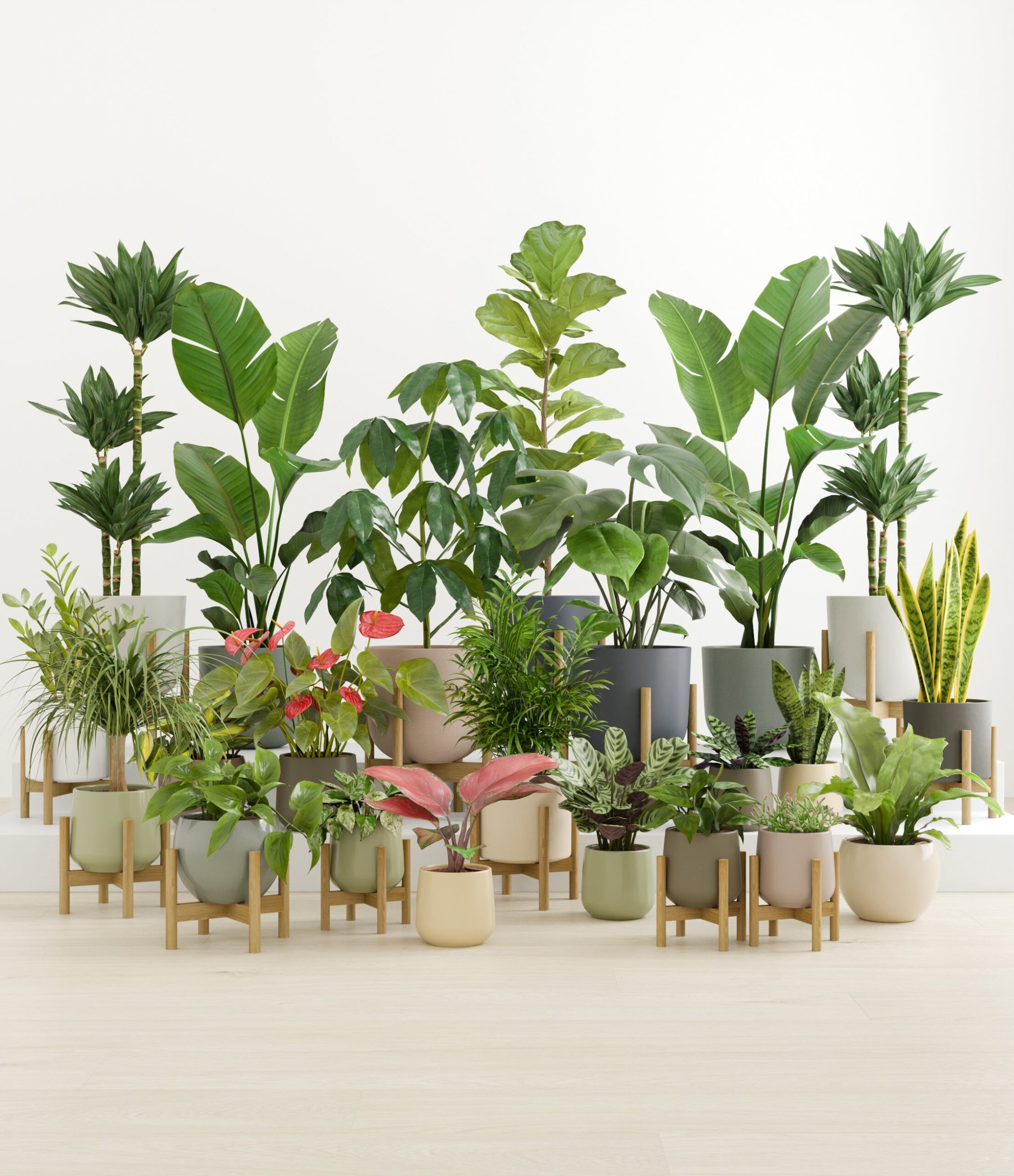 Natural_sanctuary_countryside_palette_13_stands.jpg