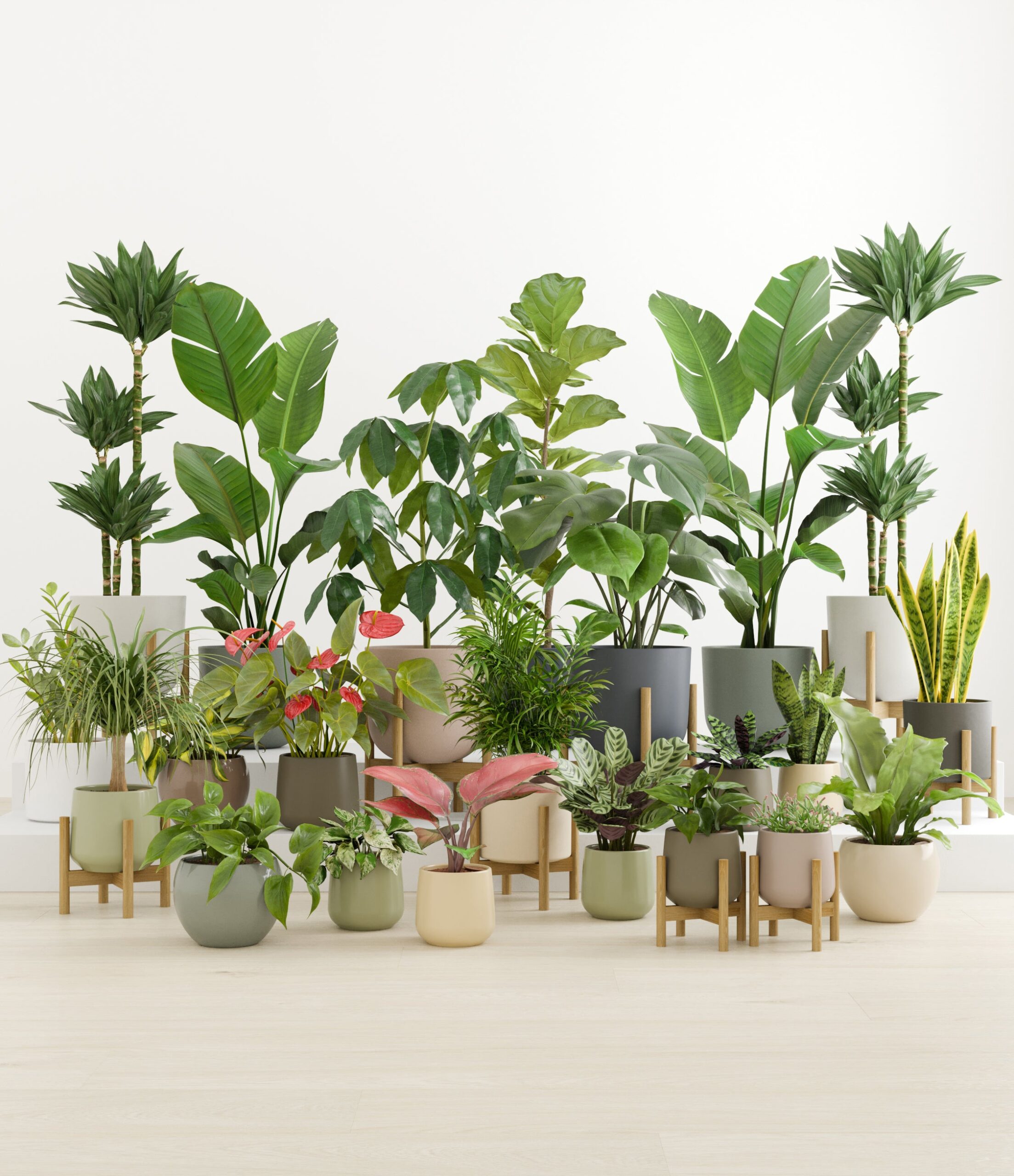 Natural_sanctuary_countryside_palette_9_stands.jpg