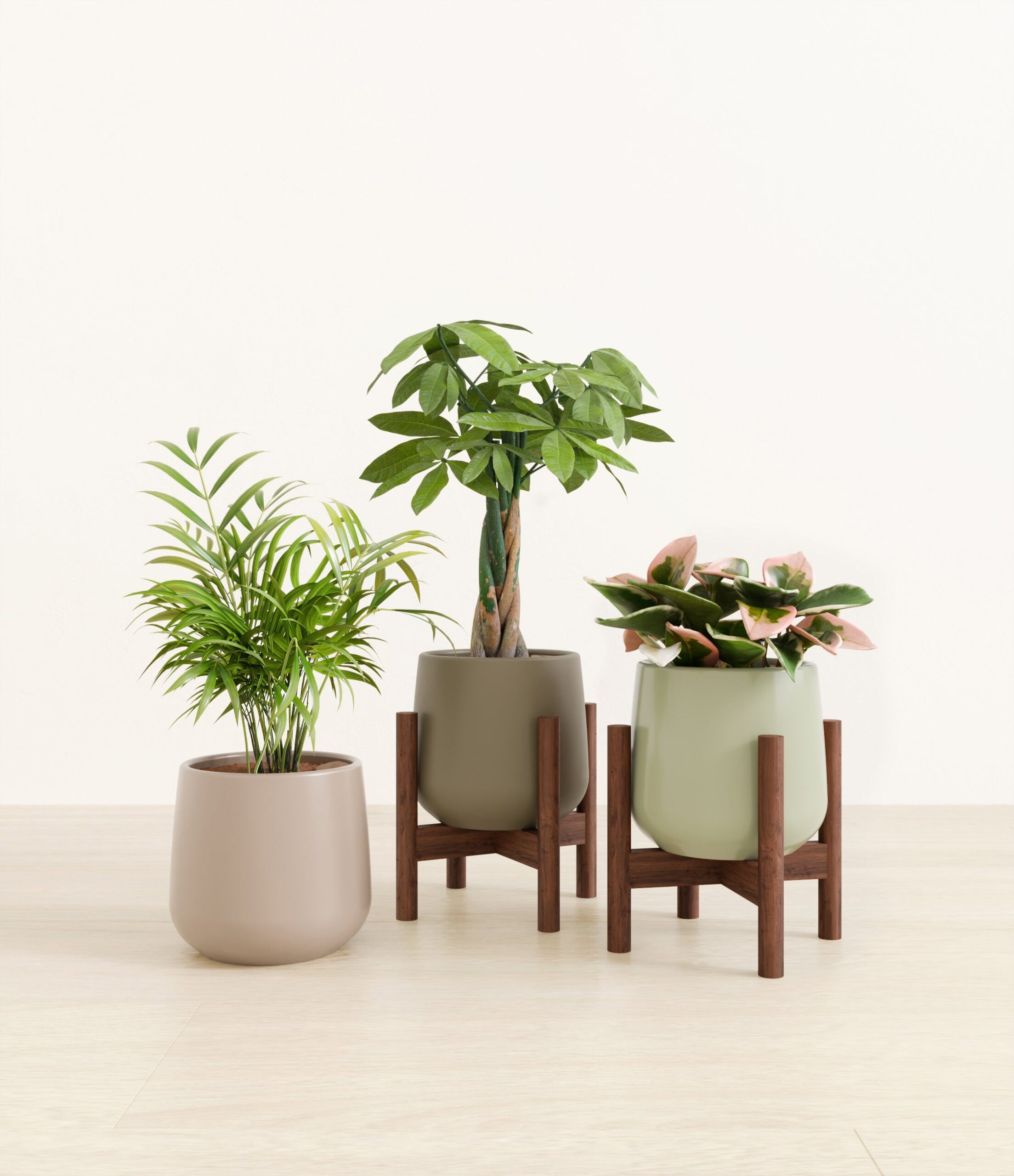 Natures_trifecta_studio_earthy_2_stand.jpg