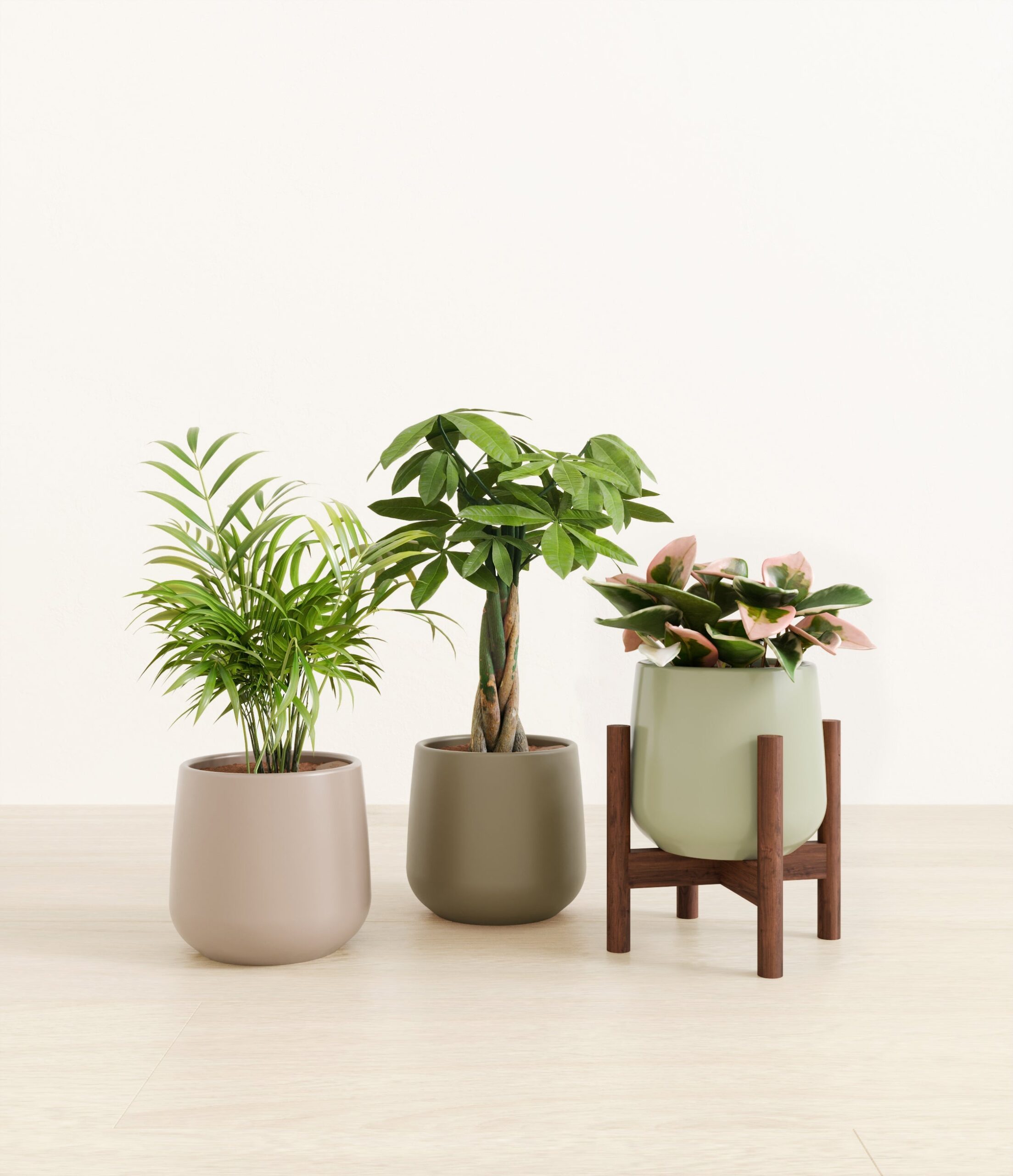 Natures_trifecta_studio_earthy_b4fa6585-98da-44b5-a290-620685375dd9.jpg