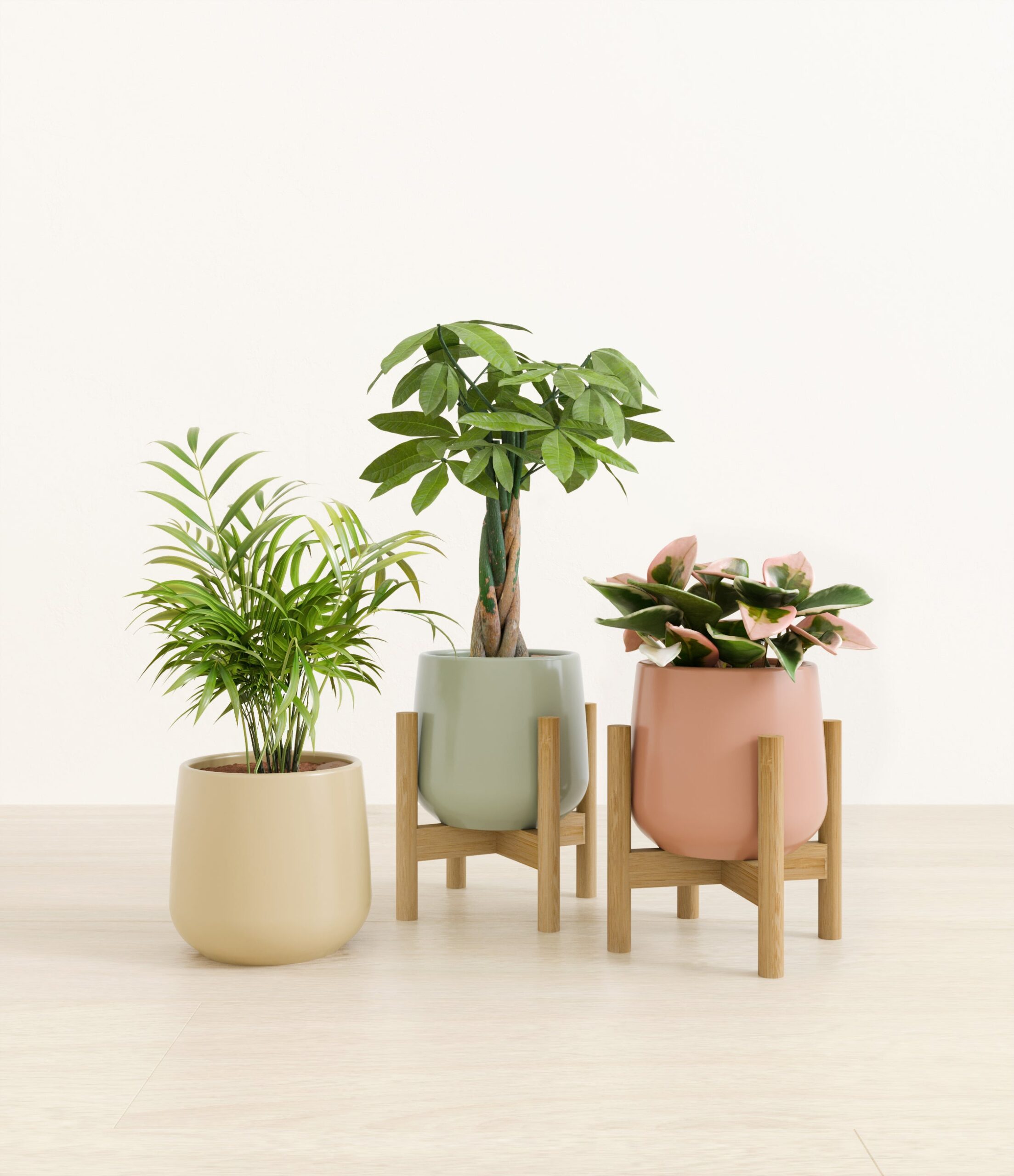 Natures_trifecta_studio_lily_pad_2_stand.jpg