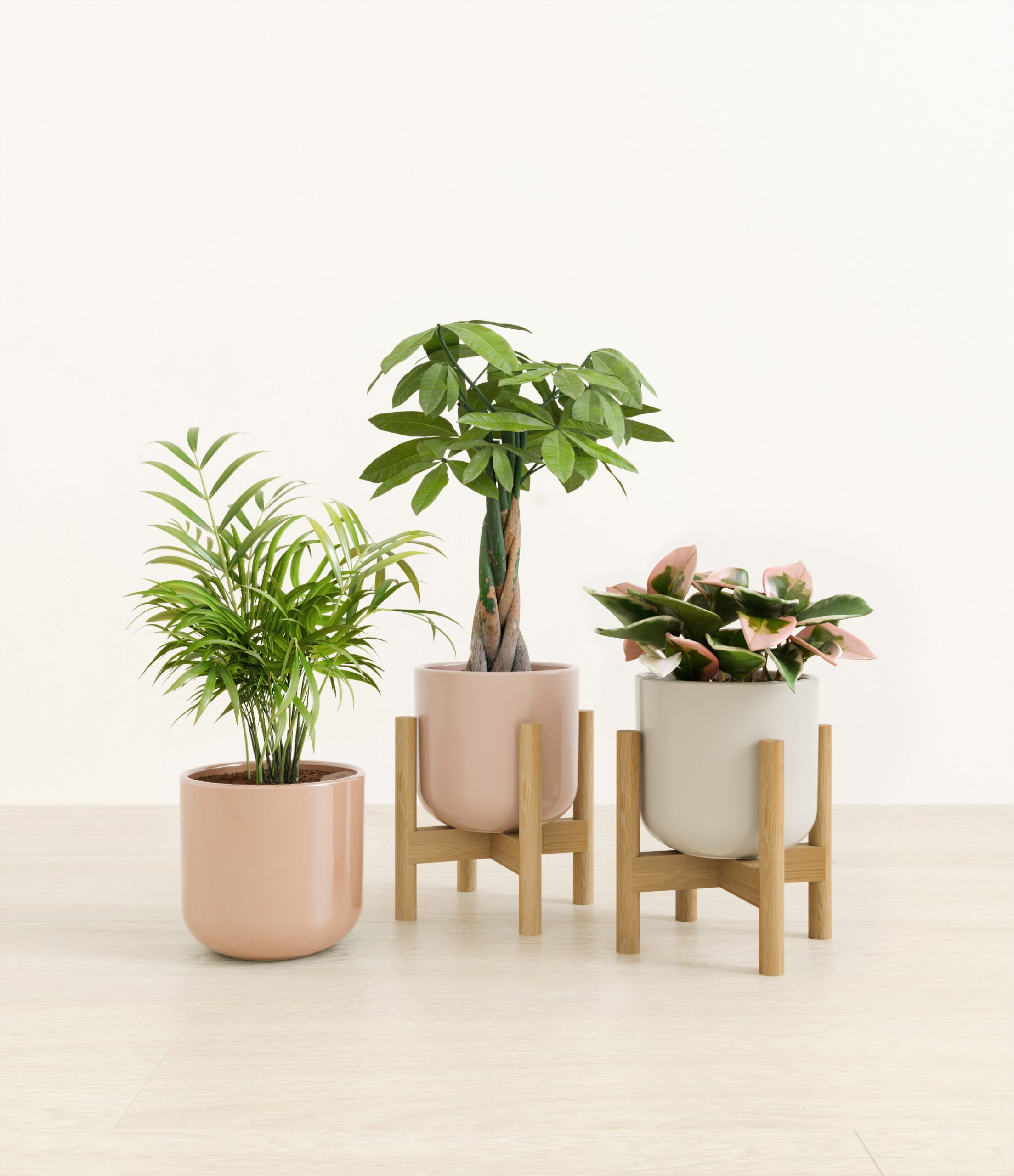 Natures_trifecta_studio_peach_blossom_2_stand.jpg