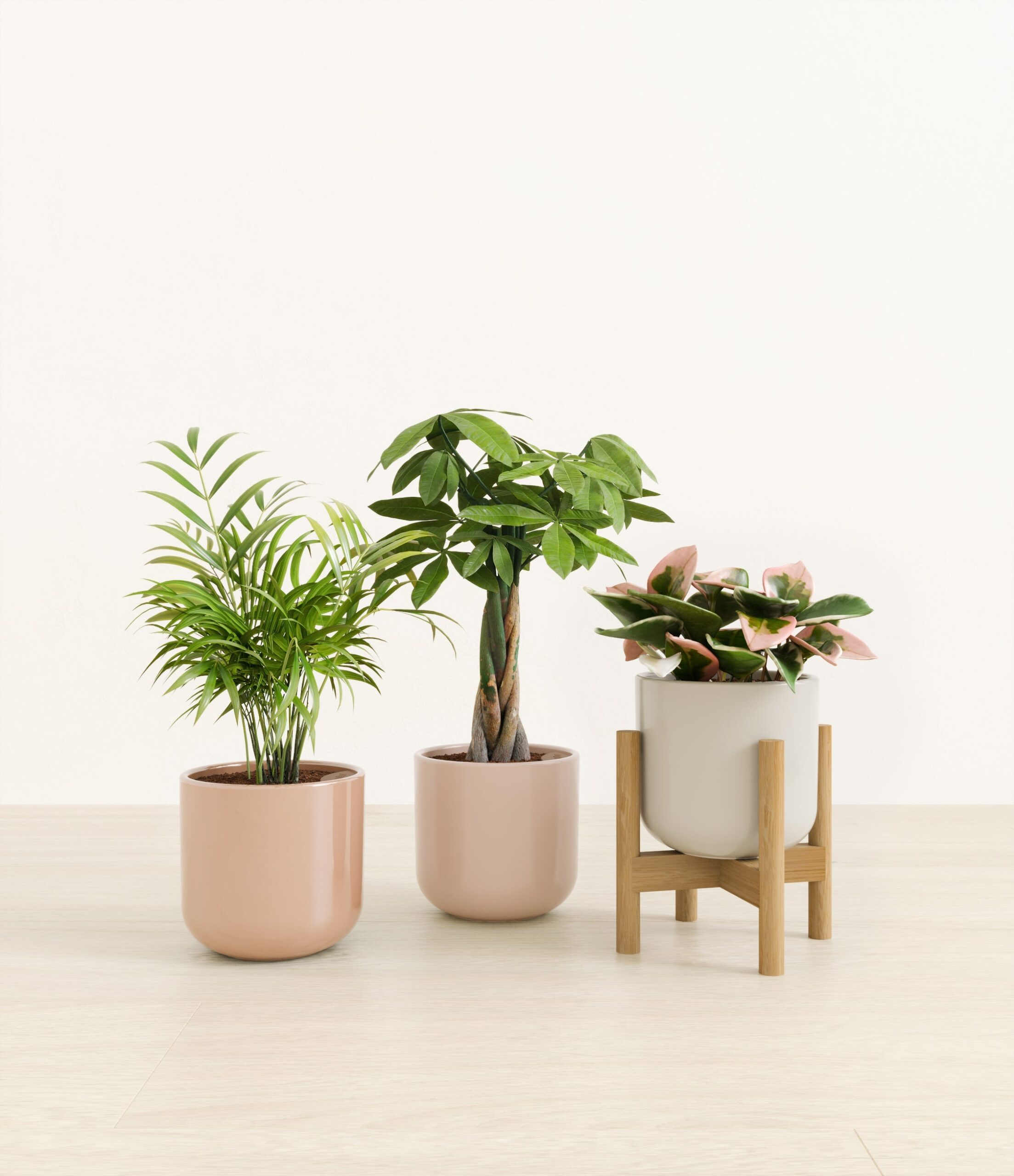 Natures_trifecta_studio_peach_blossom_abcee4bd-921e-4297-9b83-1f19ff9b349d.jpg