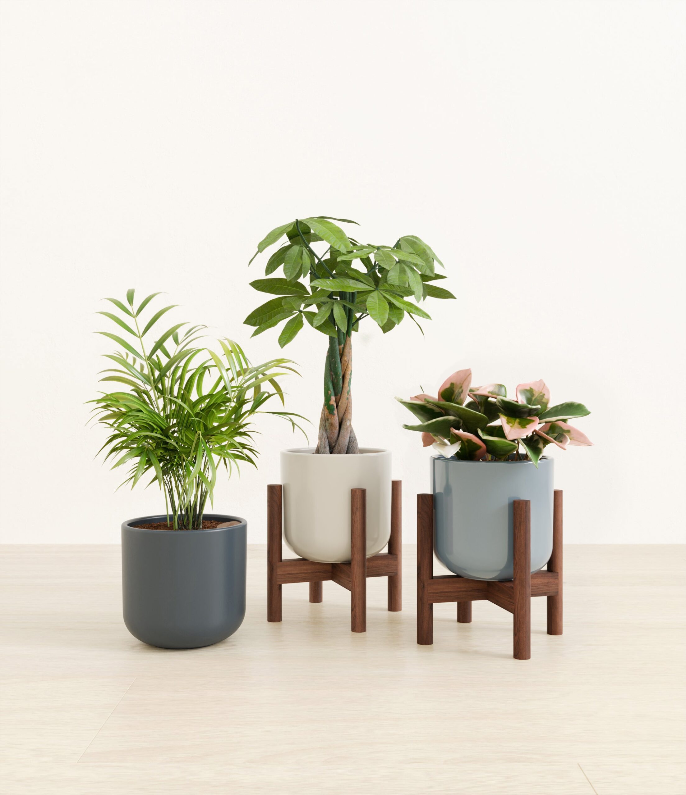 Natures_trifecta_studio_pebble_shore_2_stand.jpg