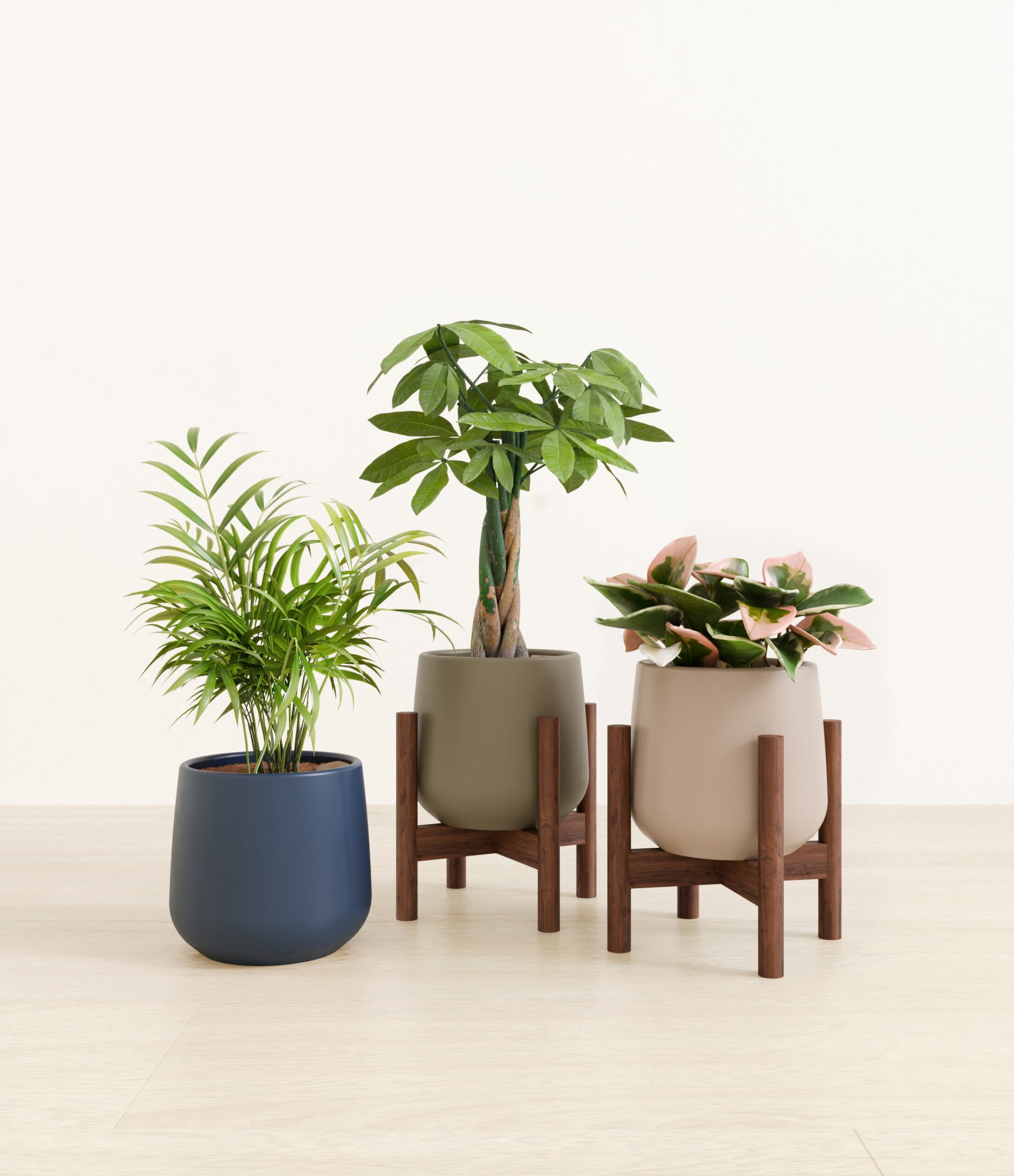 Natures_trifecta_studio_winding_river_2_stand.jpg