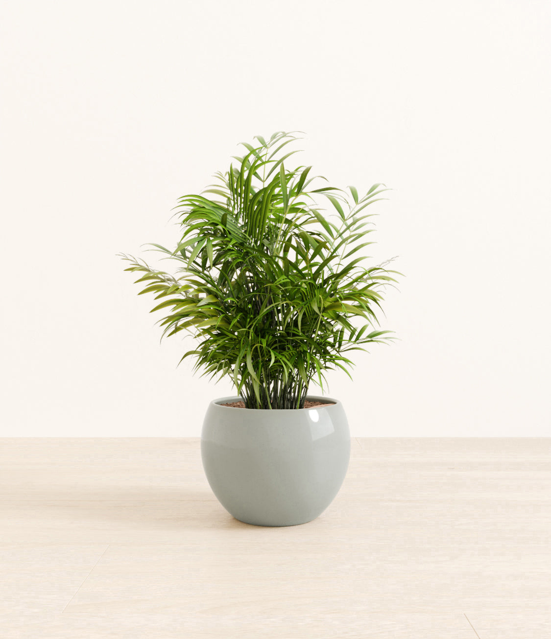 Neanthe_Bella_Palm_Monet_ocean.jpg