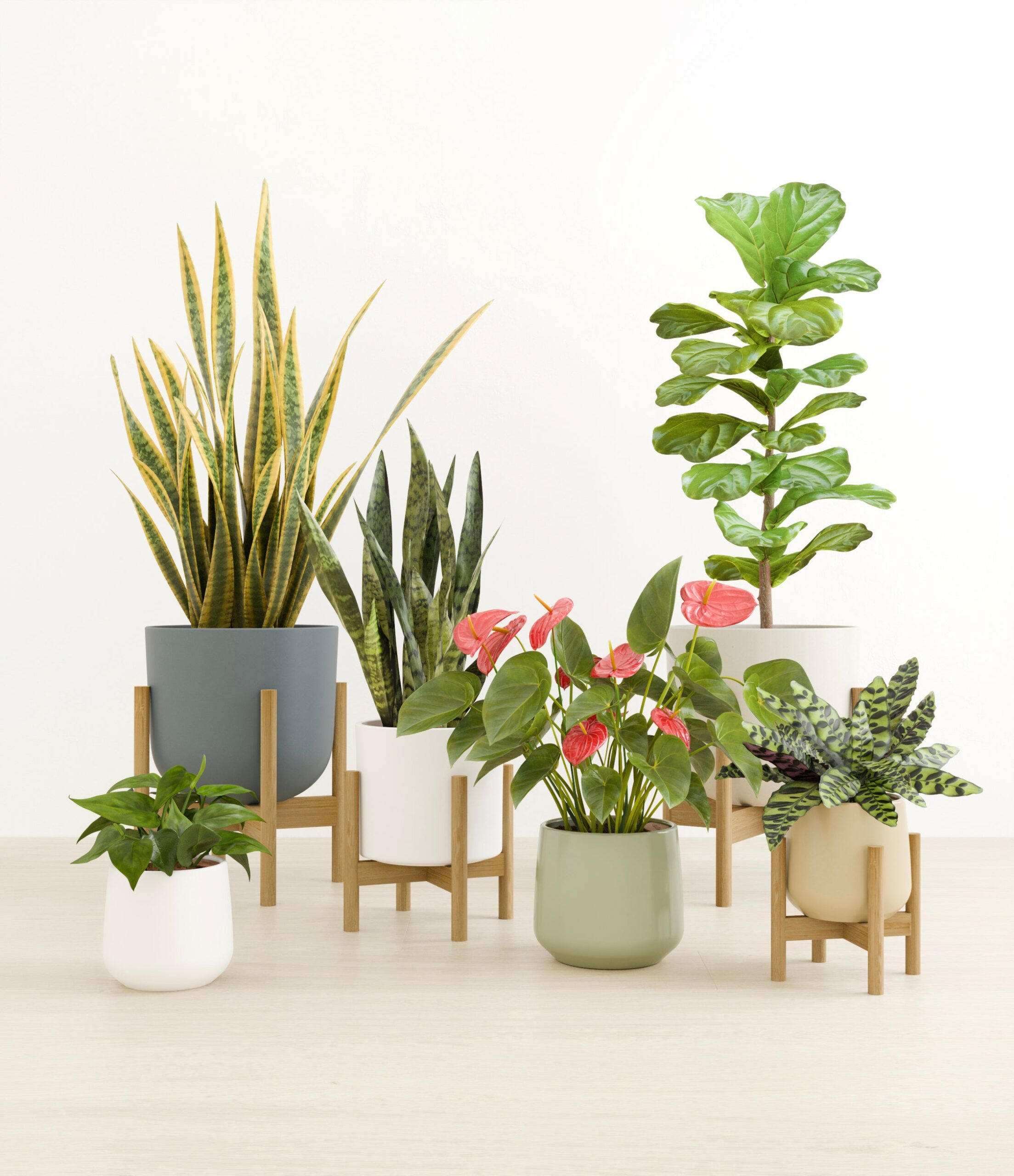New_Beginnings_studio_new_palette_4_stands.jpg