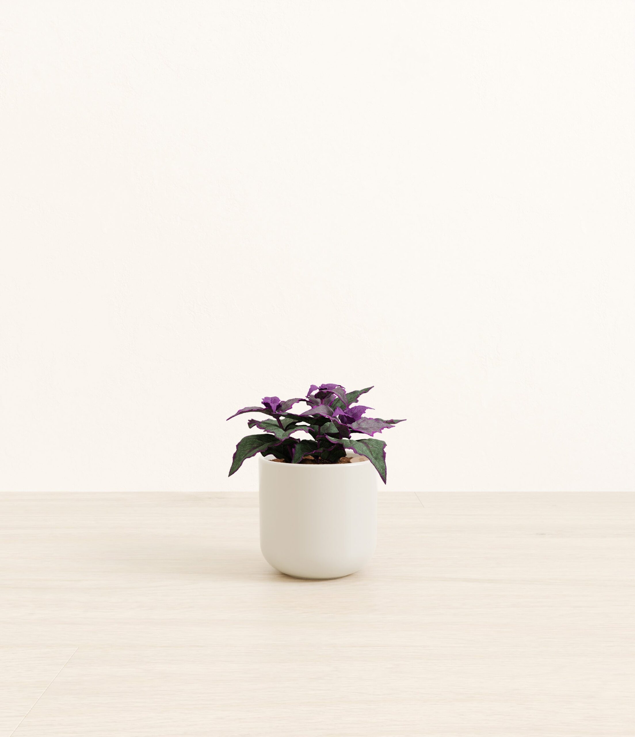 Purple_Passion_Plant_Small_Natural_Bamboo.jpg
