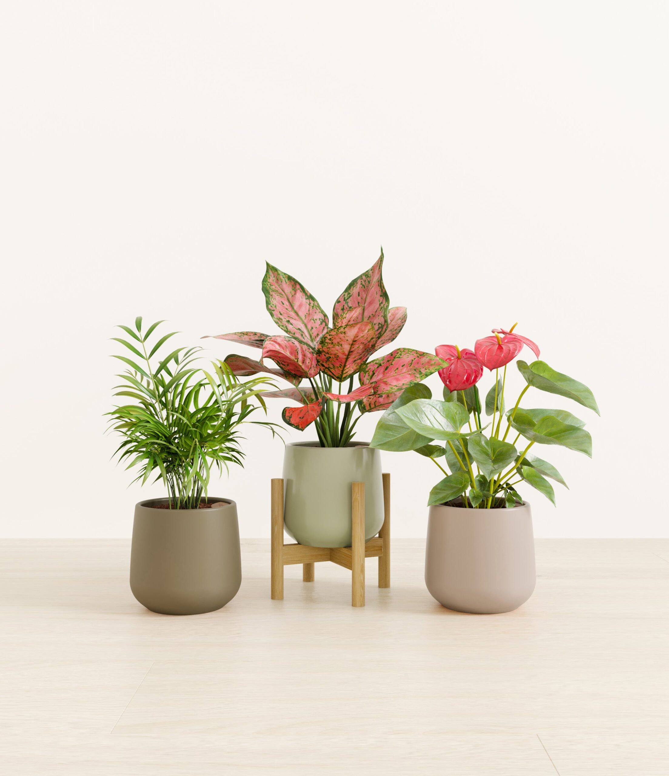 Thankful_Trio_studio_earthy_palette.jpg