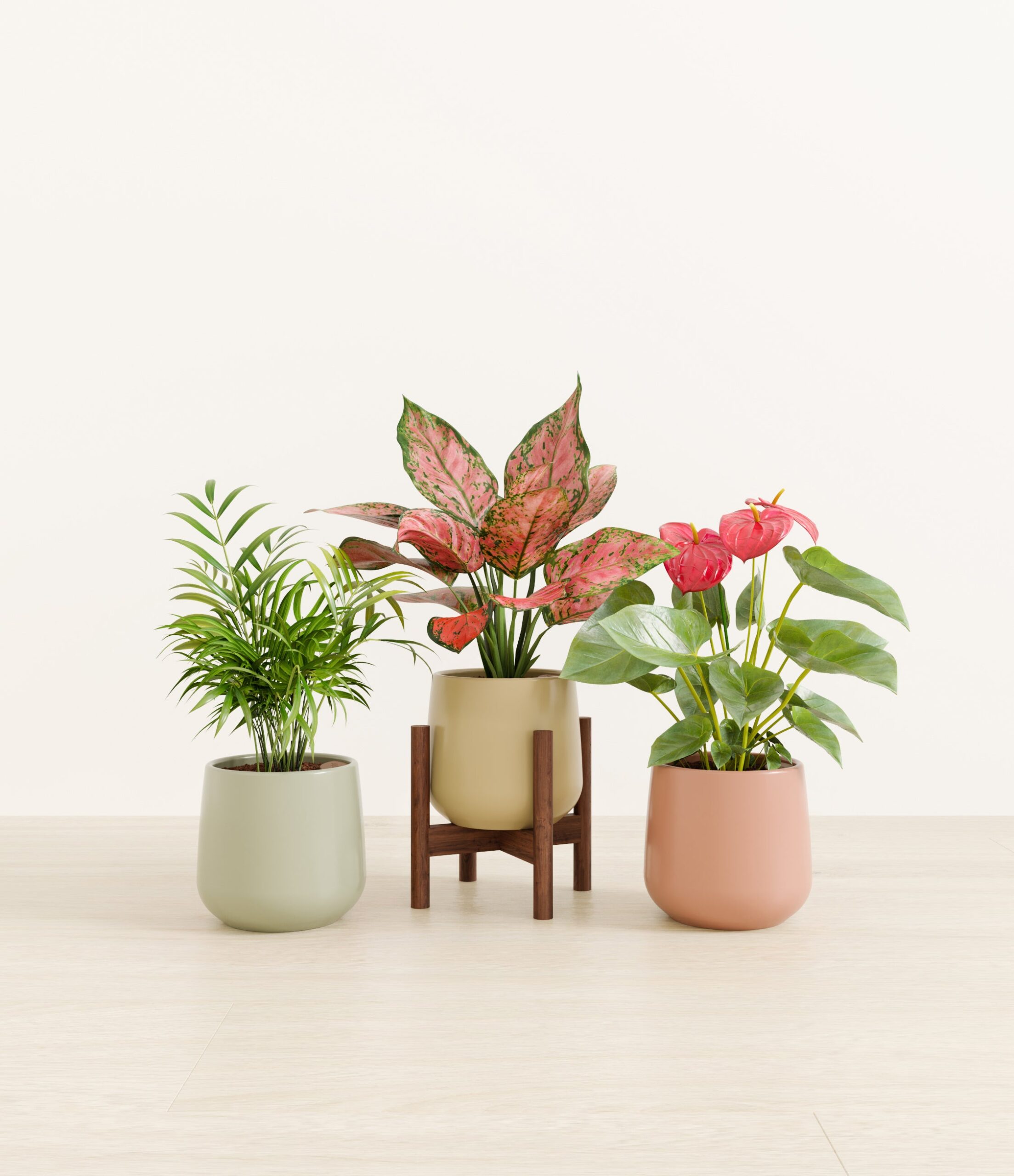 Thankful_Trio_studio_lily_pad_palette.jpg