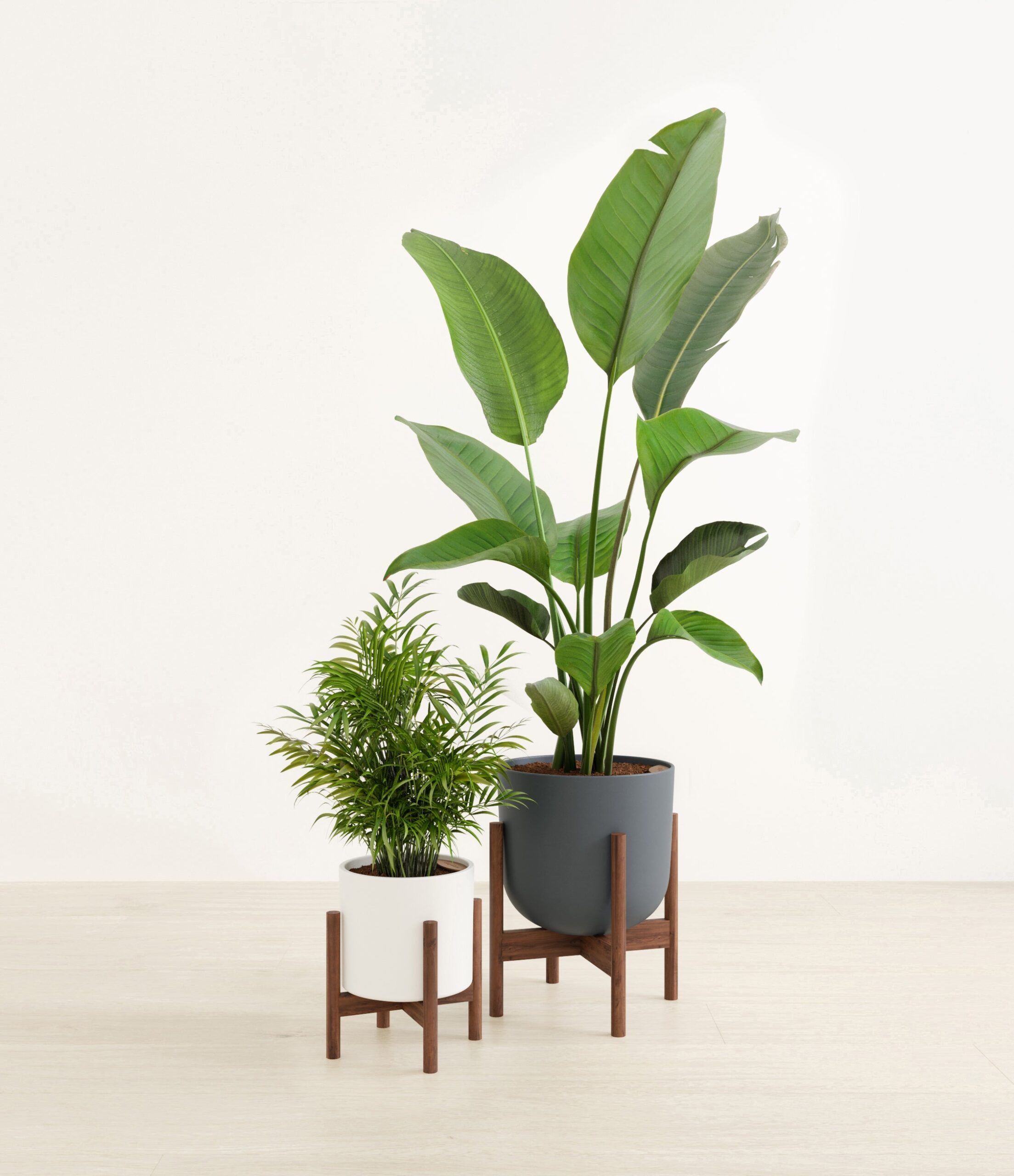 The_Dazzling_duo_The_Aloe_Vera_Palette_2_stand_ba9d4acb-7281-48e3-a5bc-4eea8e333245.jpg