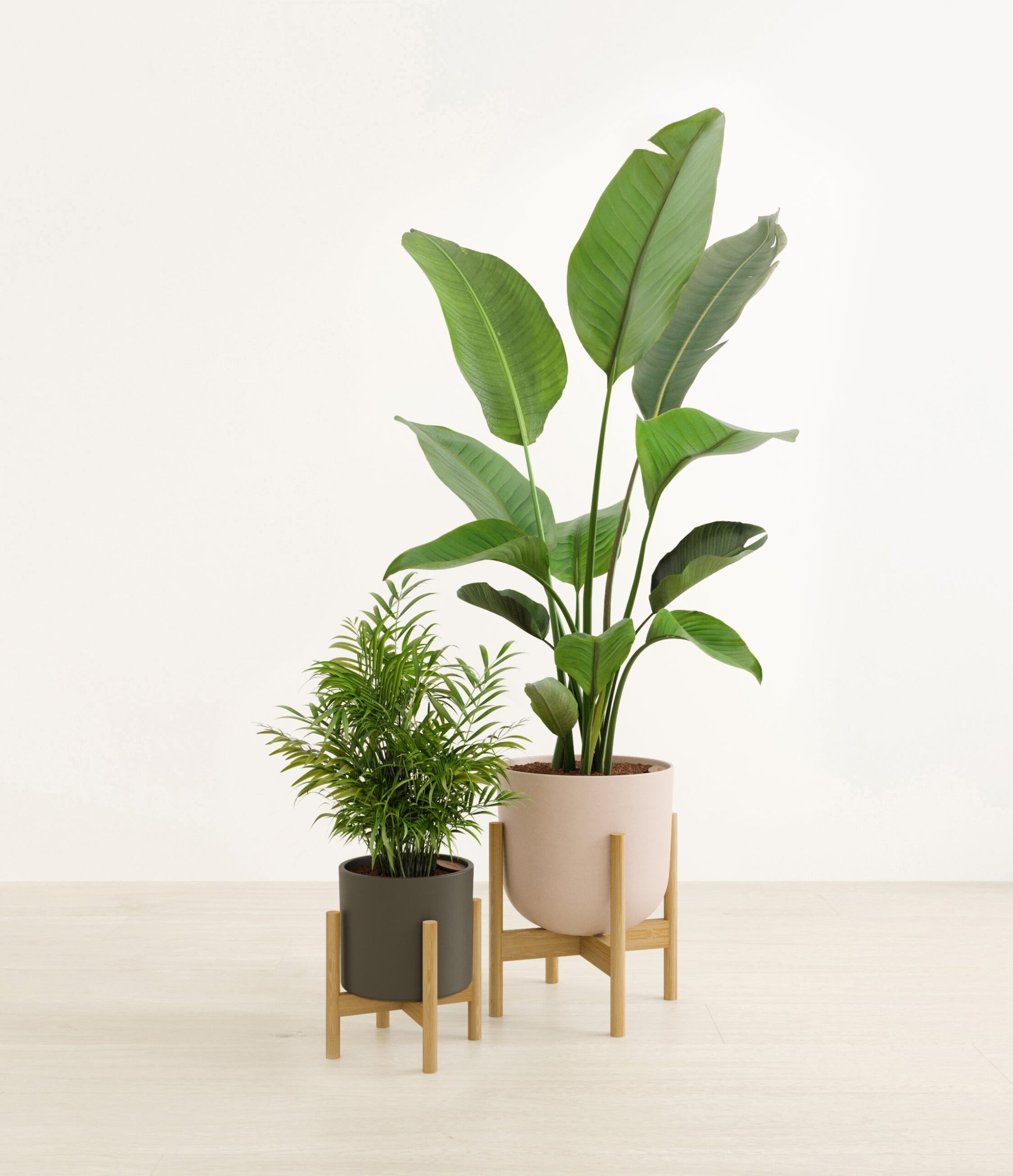 The_Dazzling_duo_The_Olive_Branch_Palette_2_stand_62cf1fa4-6bfa-47df-ad84-079b52e63d81.jpg