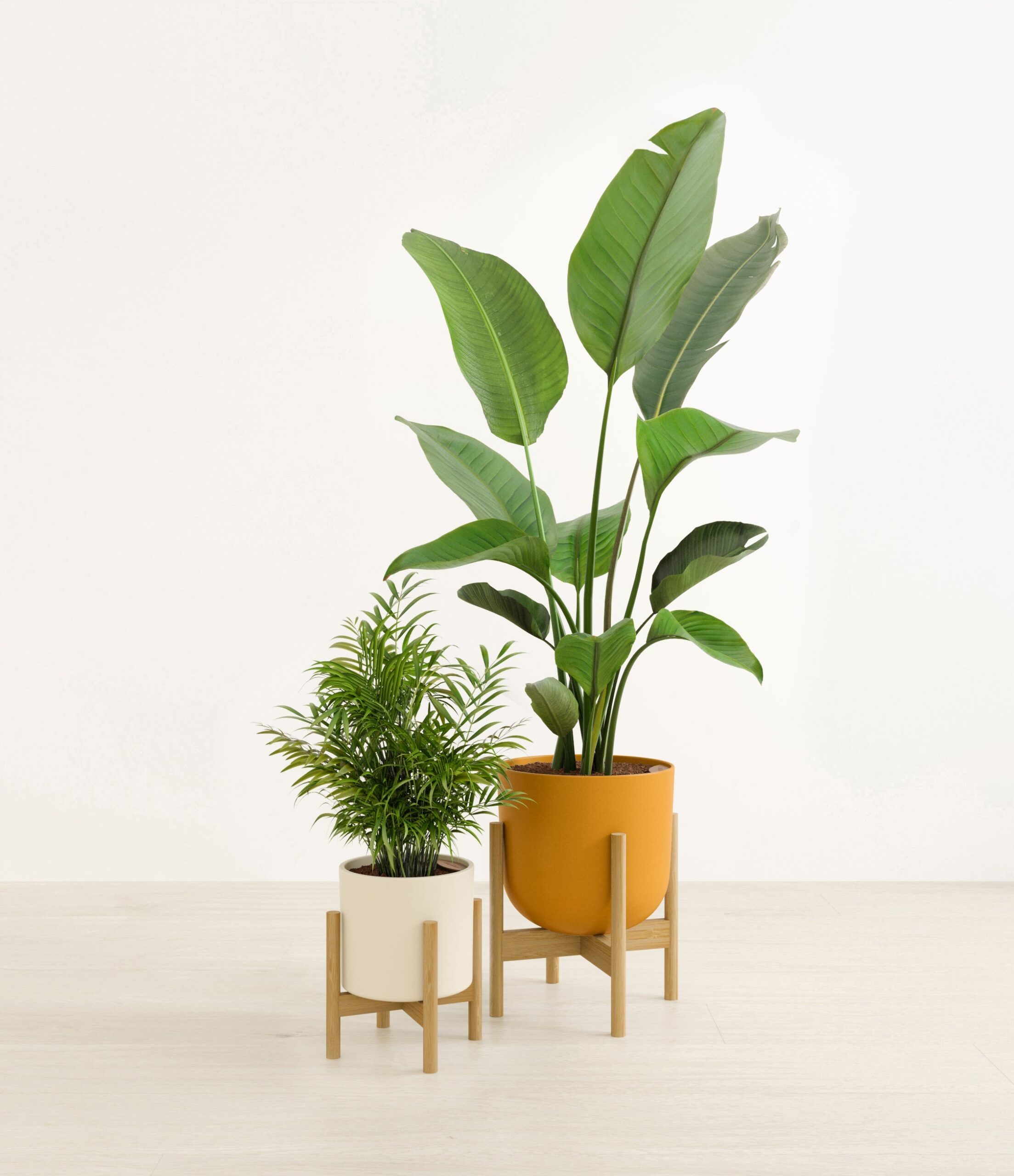 The_Dazzling_duo_The_Tiger_Lily_Palette_2_stand_451481db-b4f5-4b15-9e9a-eacbb8fbaba1.jpg