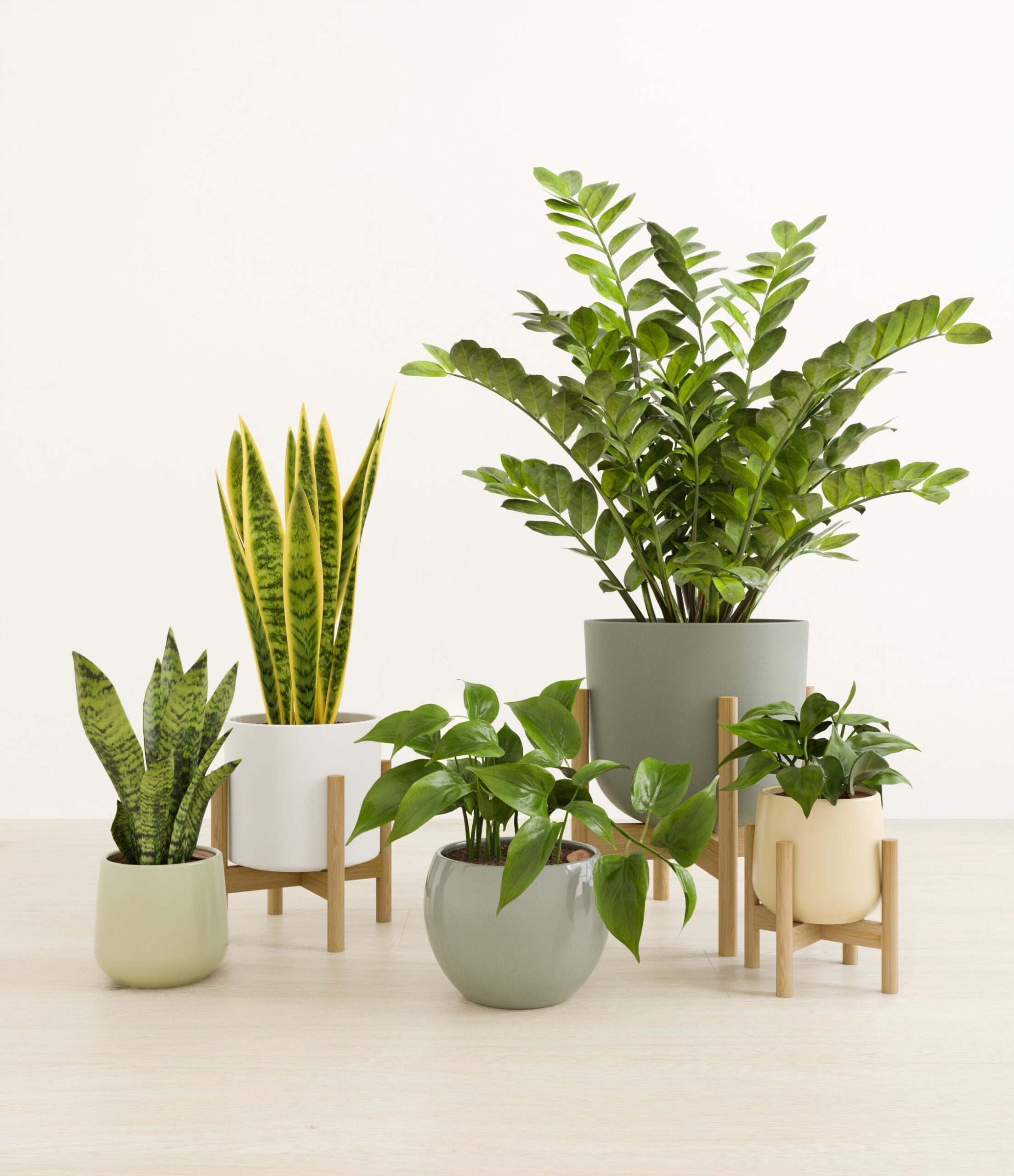 The_Enlightened_Oasis_The_Earthy_Palette_3_stands_08b1c3e6-e9ea-430a-a365-423dc9fc292c.jpg