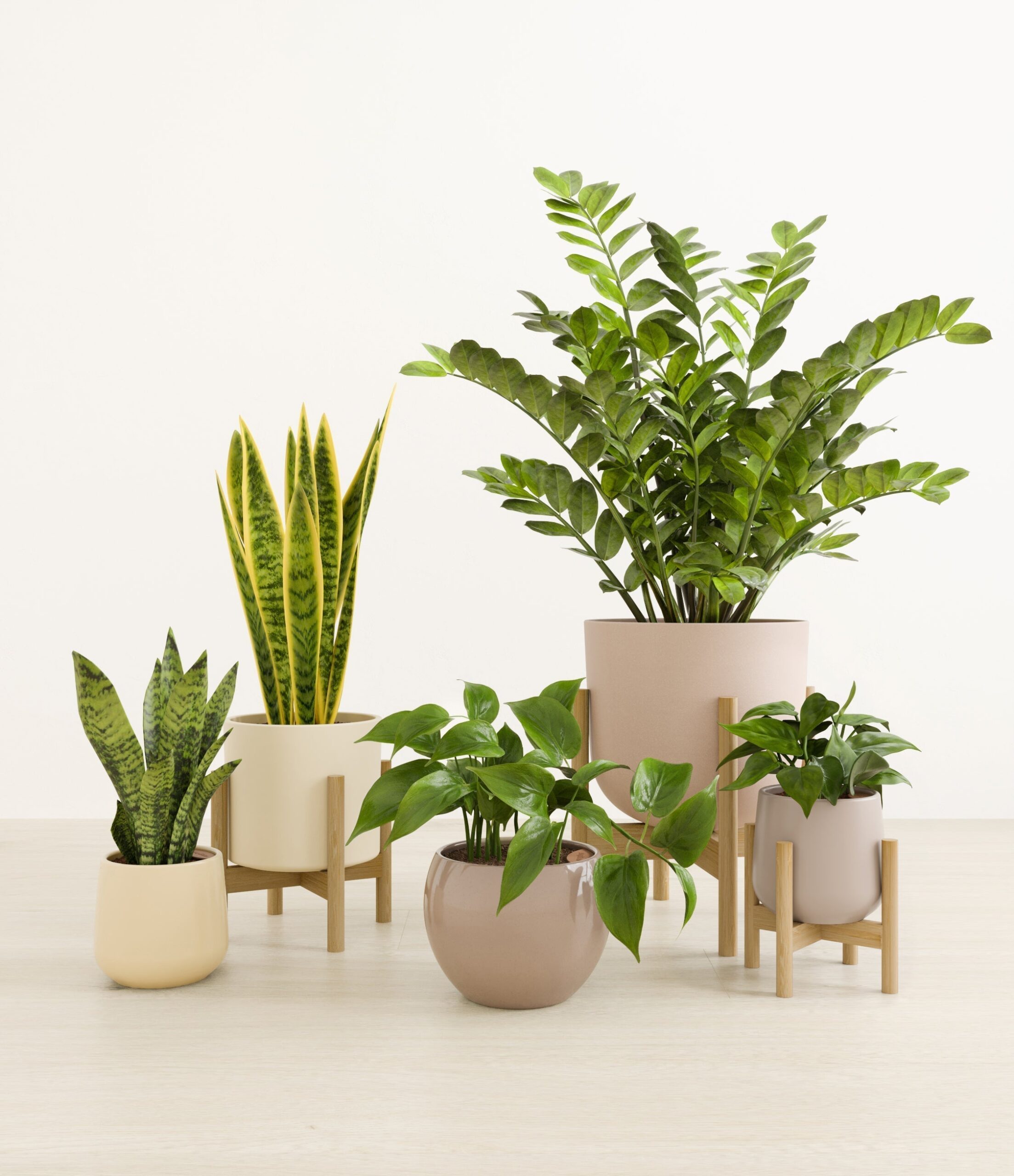 The_Enlightened_Oasis_The_Sandy_Palette_3_stands_0a11f9db-f151-473d-b75a-cd9769ea080d.jpg