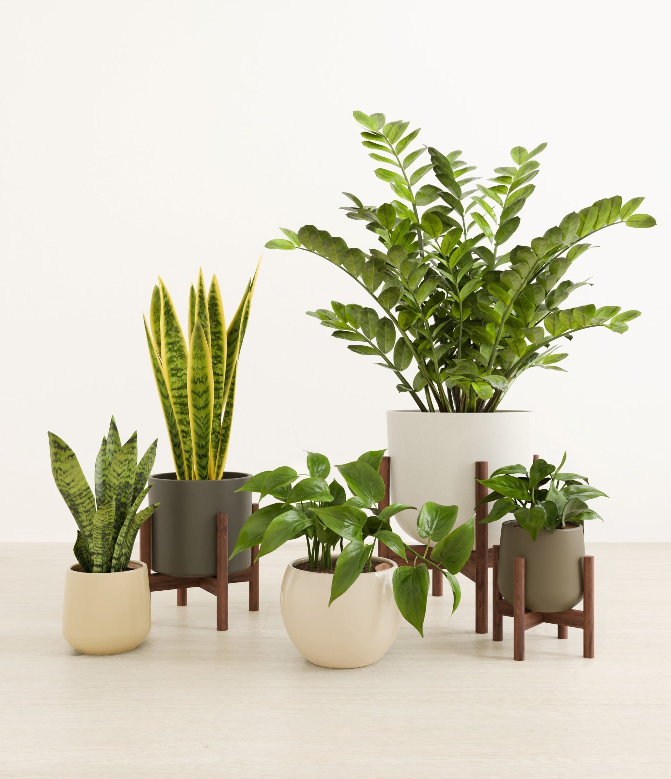 The_Enlightened_Oasis_The_Woodland_Palette_3_stands_cd65a2dc-2a14-4e9b-8a79-1102d55cc659.jpg
