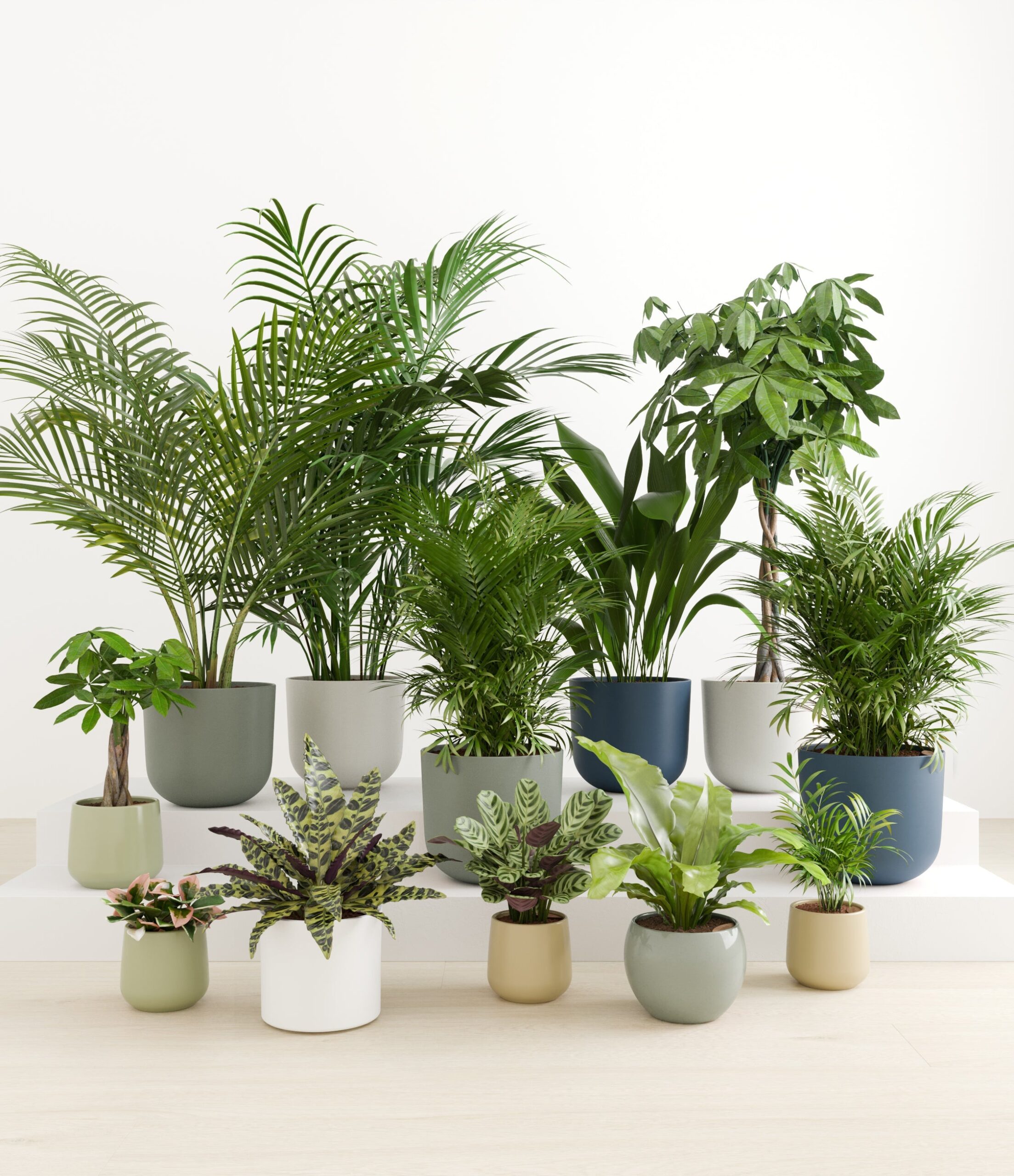 The_Exotic_Sanctuary_studio_earthy.jpg