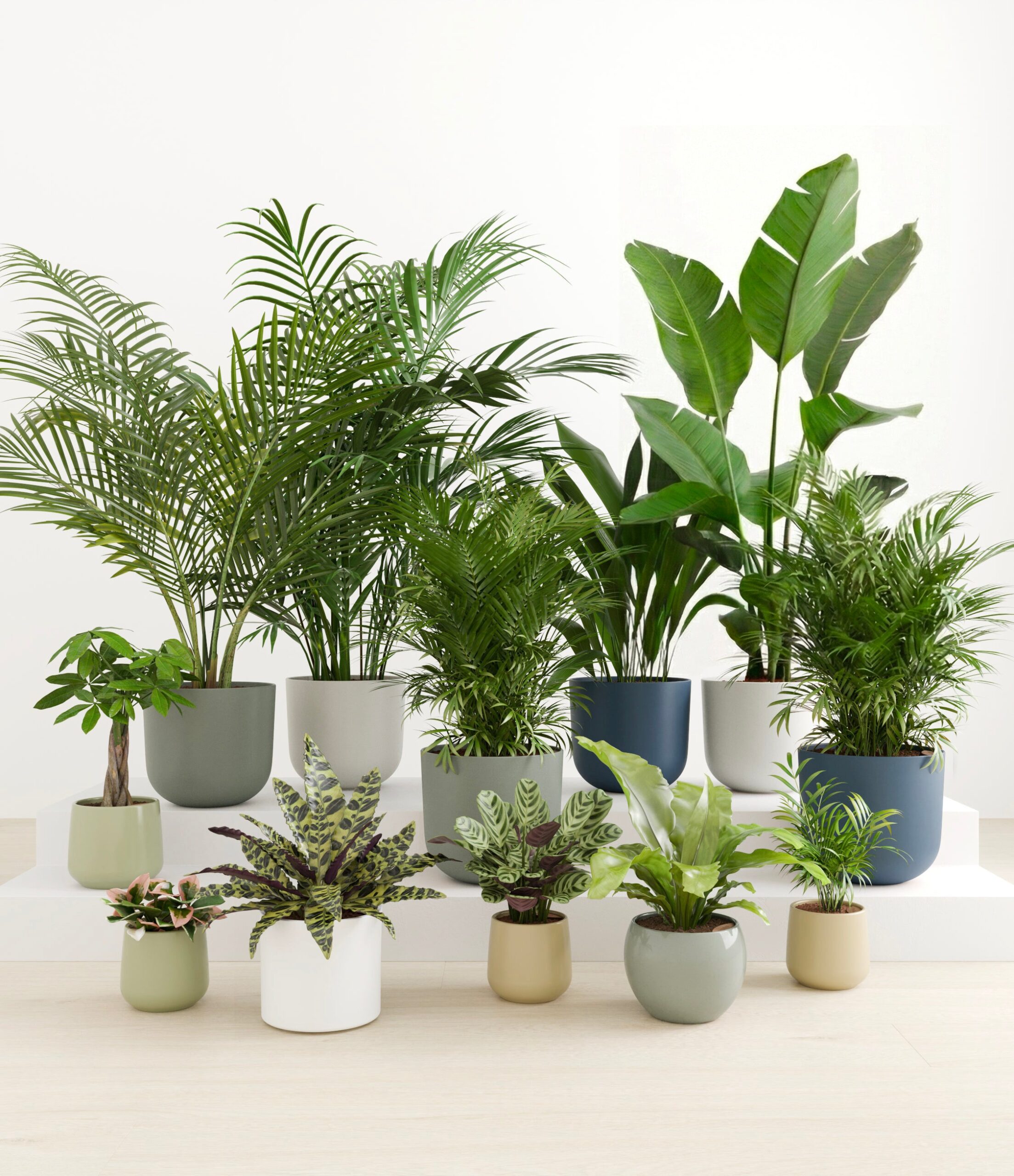 The_Exotic_Sanctuary_studio_earthy_1.jpg