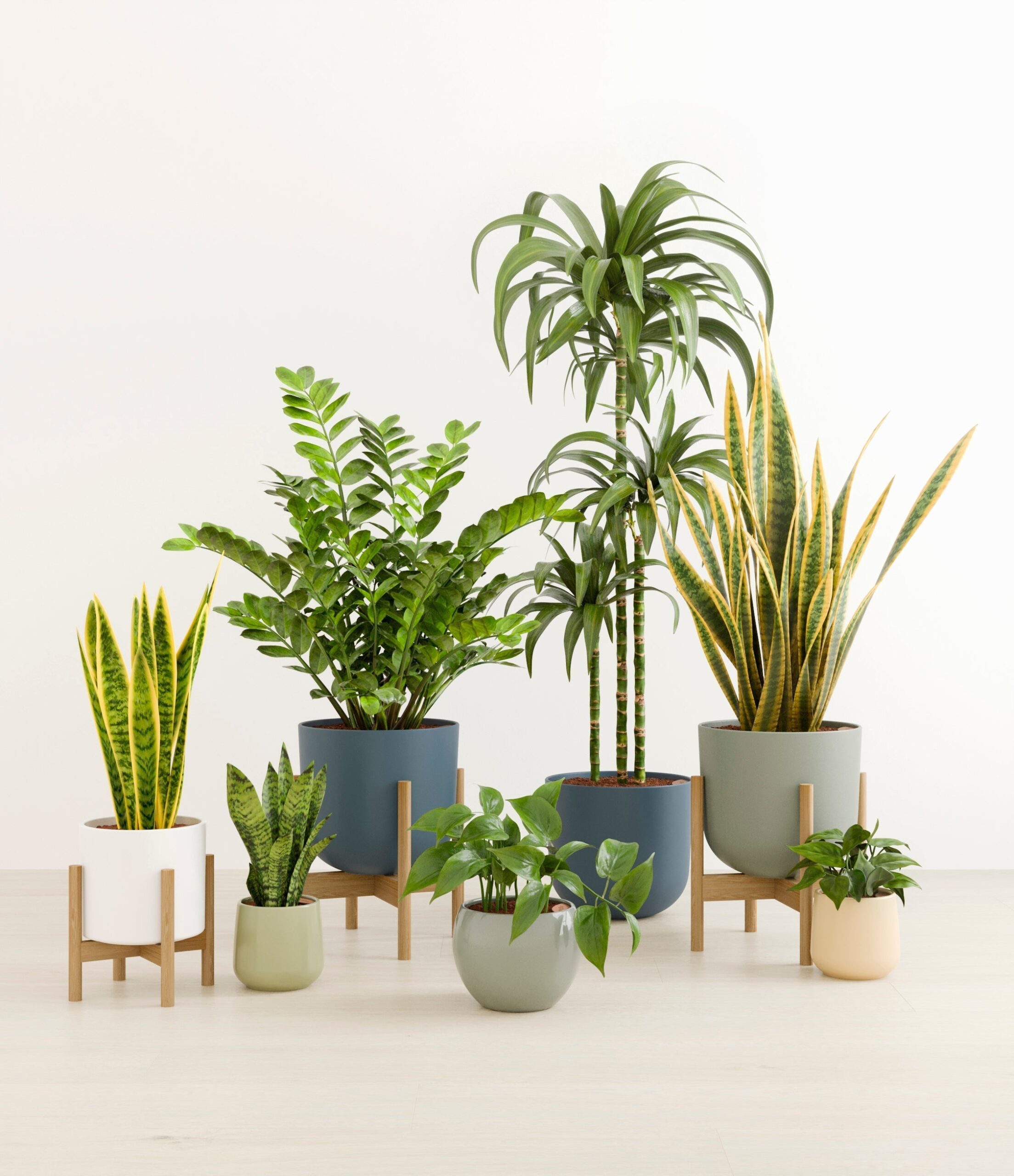 The_Luminous_Jungle_The_Earthy_Palette_3_stands_8f49c977-f8ee-49f8-9a1e-8f6a40fb208f.jpg