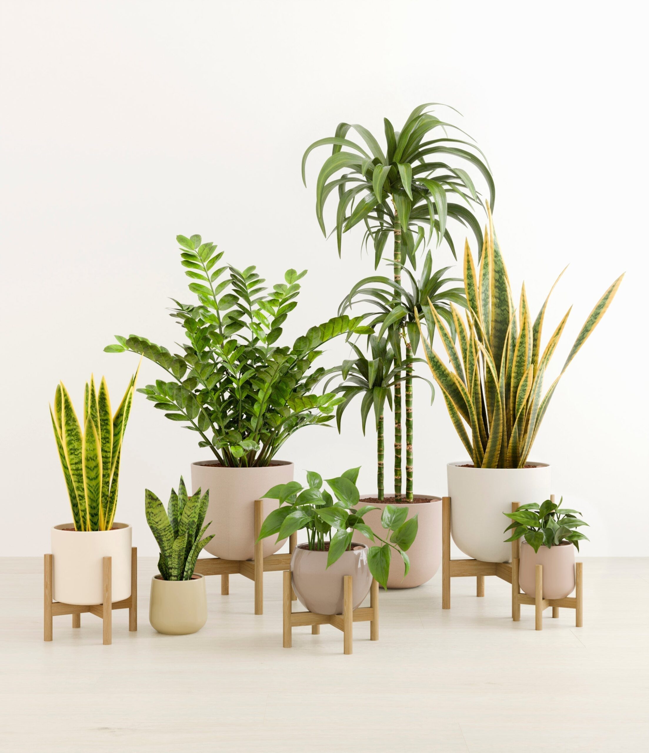 The_Luminous_Jungle_The_Sandy_Palette_6_stands_9d628455-3b0e-4fad-b84e-47afa0634a30.jpg