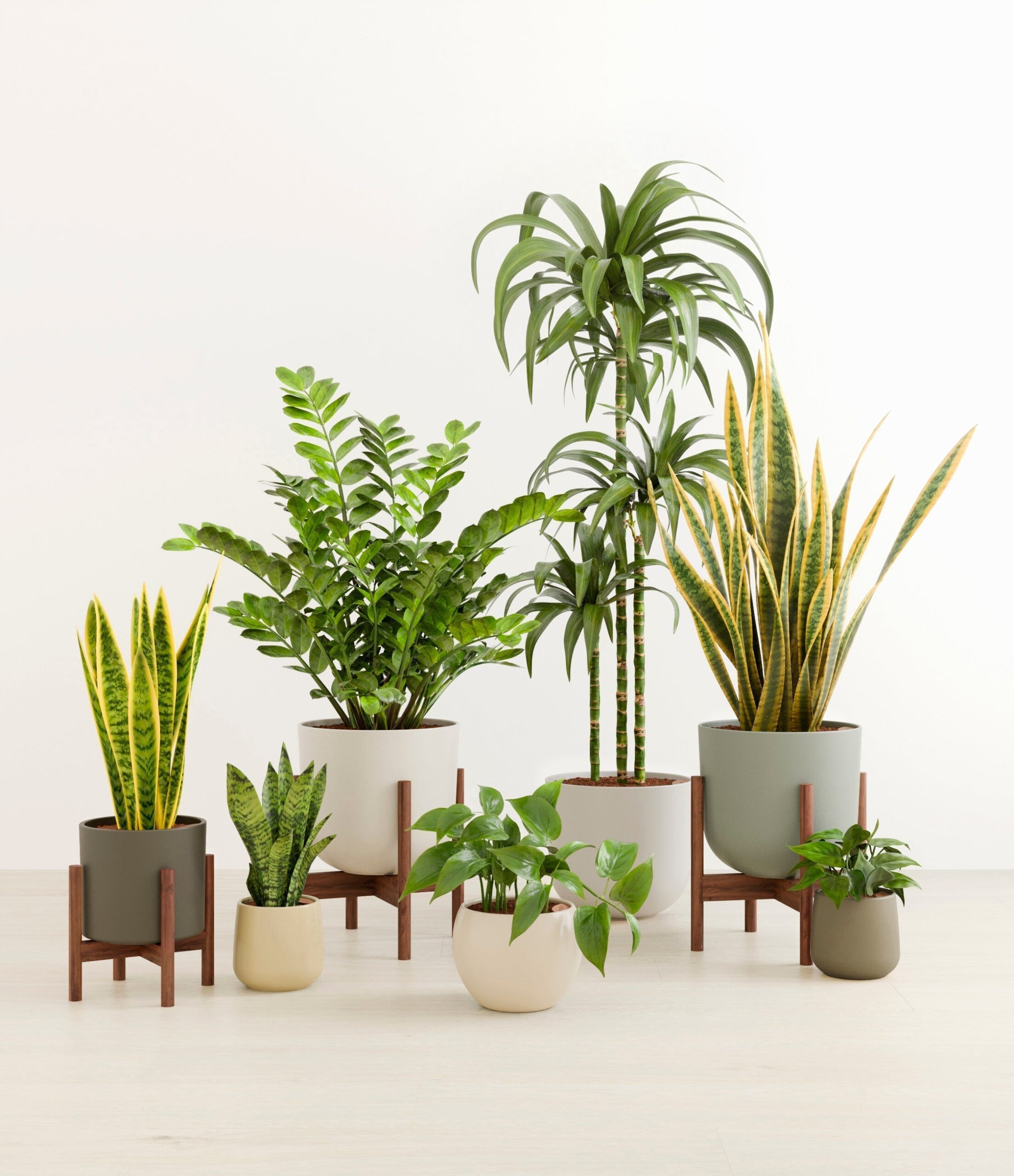 The_Luminous_Jungle_The_Woodland_Palette_3_stands_14e31ac7-deb8-487d-8e3b-a4ed48be0007.jpg