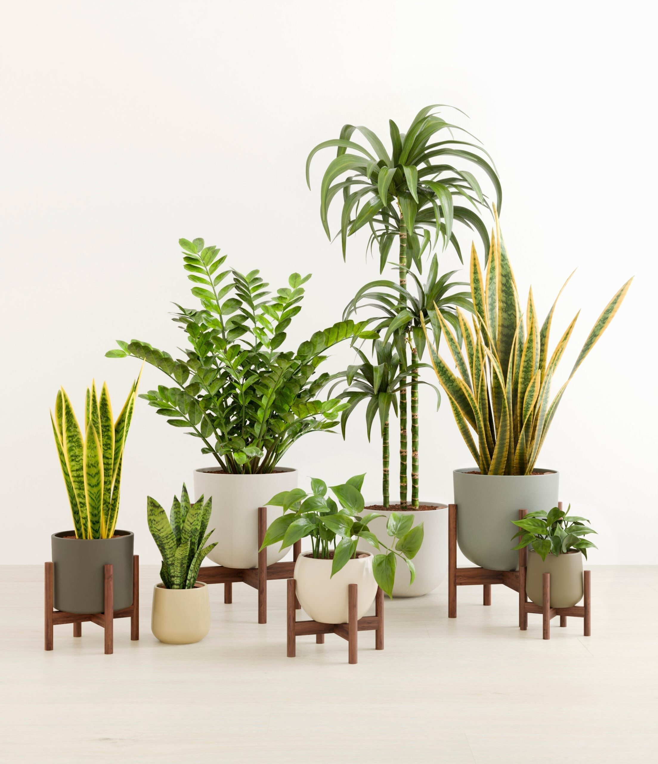 The_Luminous_Jungle_The_Woodland_Palette_6_stands_205e49be-3ccc-462d-9304-d8c3a09f81ca.jpg