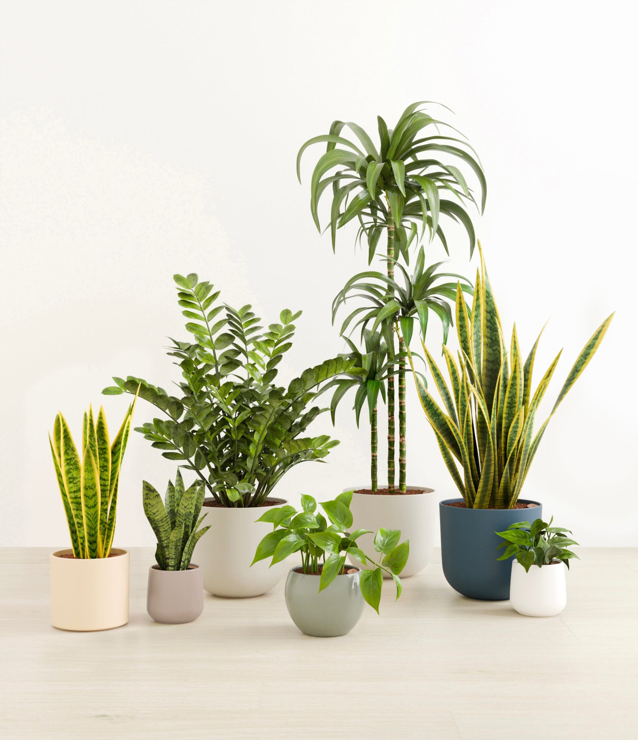 The_Luminous_Jungle_studio_new_palette_0_stands.jpg