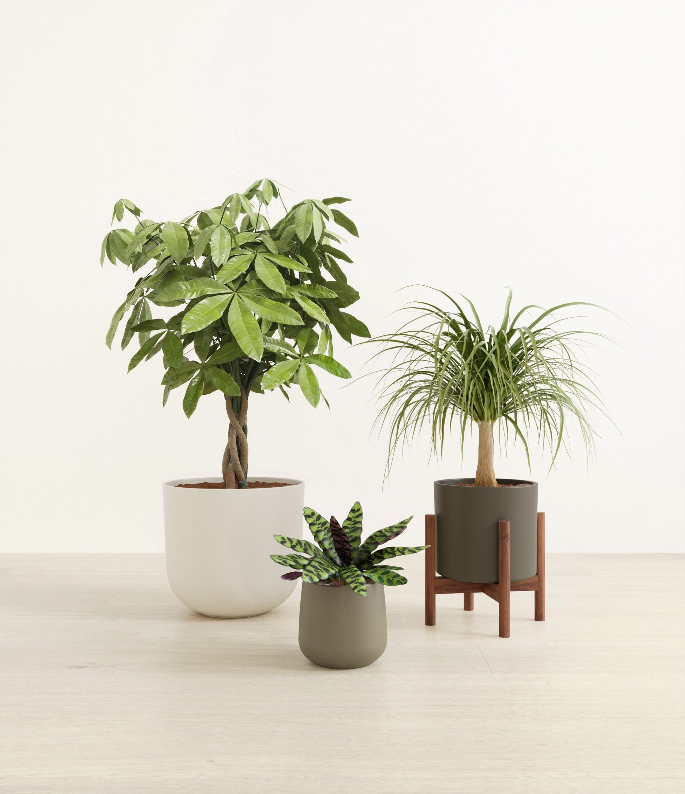 The_Luscious_Trinity_The_Woodland_Palette_1_stand_studio_5c6d8ecd-1adb-4080-b099-6e103caa7a48.jpg