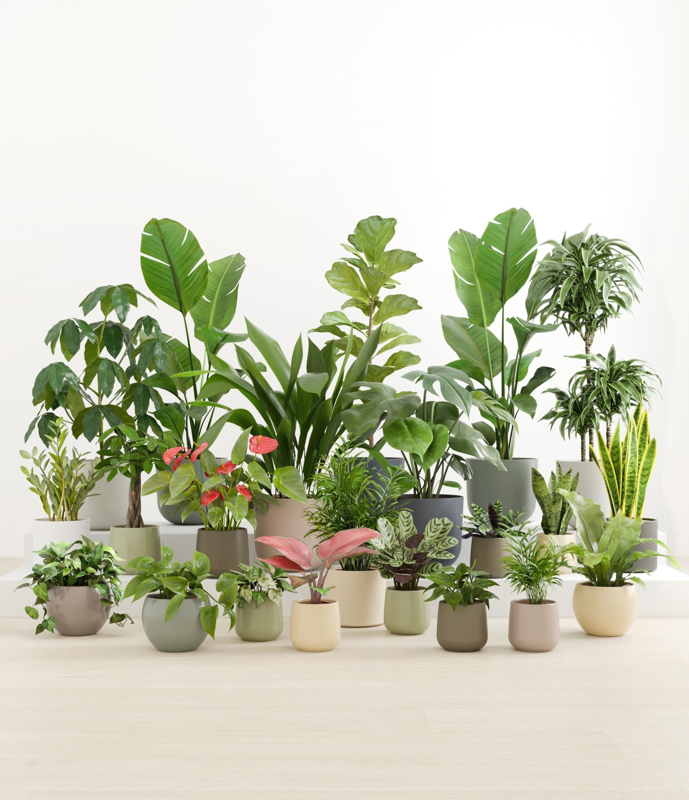 The_Natural_Sanctuary_studio_countryside.jpg